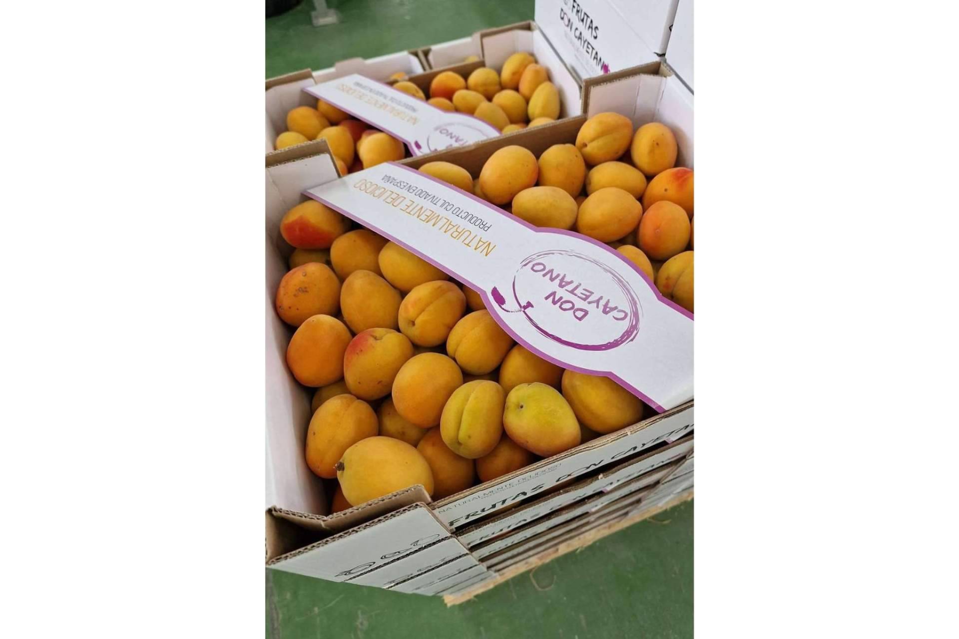 Frutas Don Cayetano, la compañía experta en la exportación de frutas de hueso y cítricos