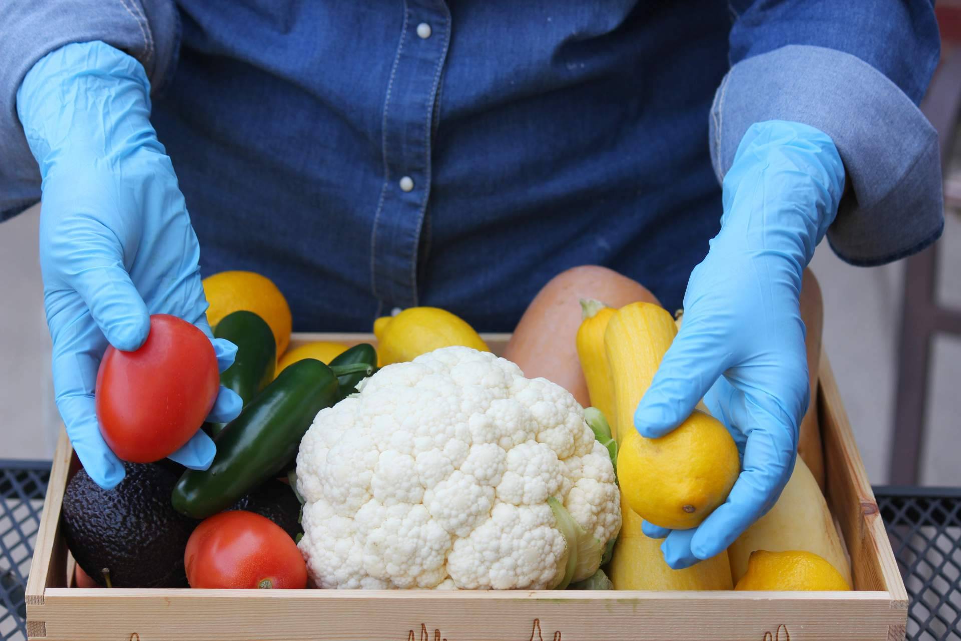 Damito - Tecnas y la oportunidad de realizar de forma gratuita el curso de manipulador de alimentos