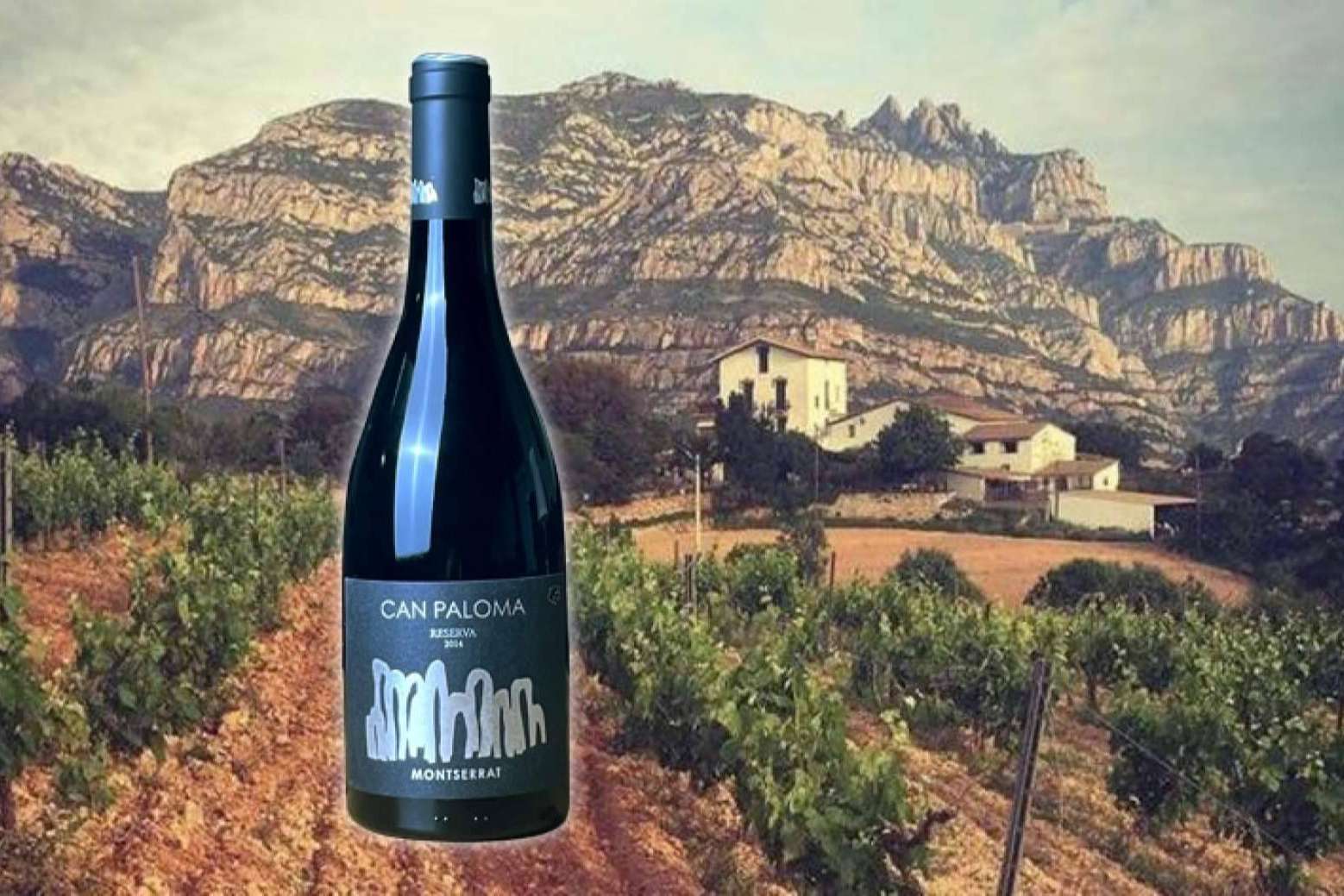 La firma Caldeu presenta vinos Can Paloma elaborados en Montserrat y un servicio de sommelier online