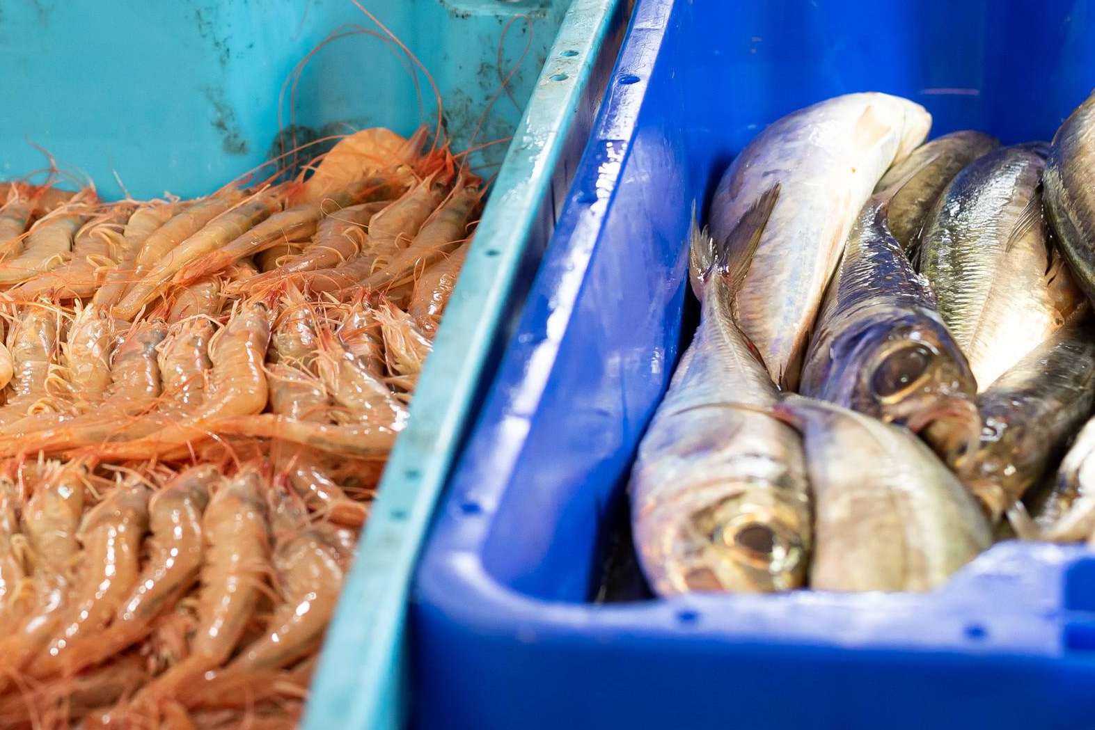 Lonja de Ayamonte facilita consumir marisco fresco delicioso