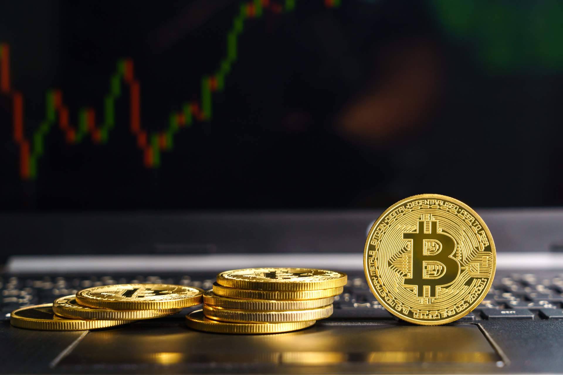 Blockchain Sensei, educadores financieros