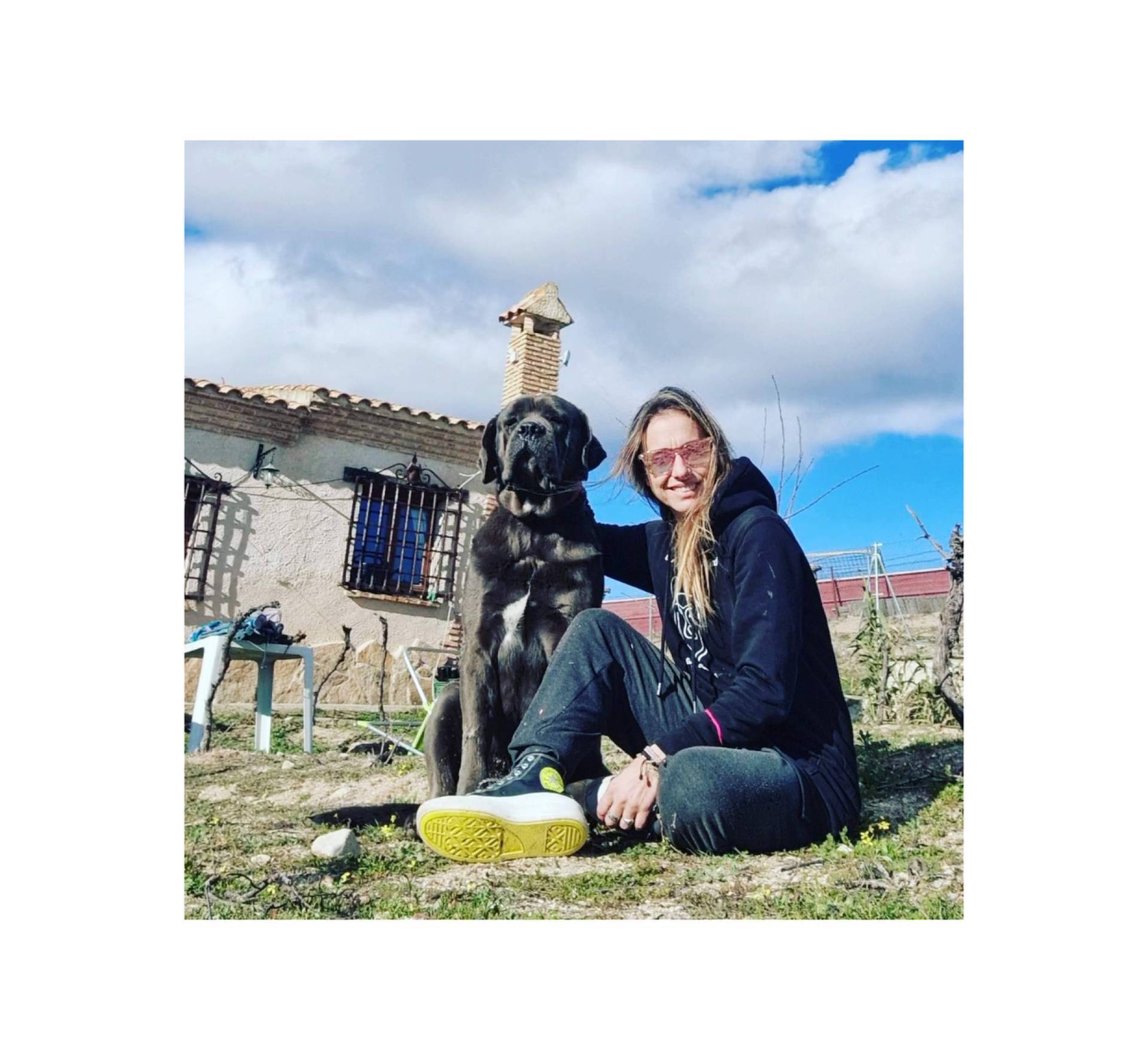 Los animales pueden aprender comportamientos nuevos en la guardería canina PERROBUENO, en Madrid
