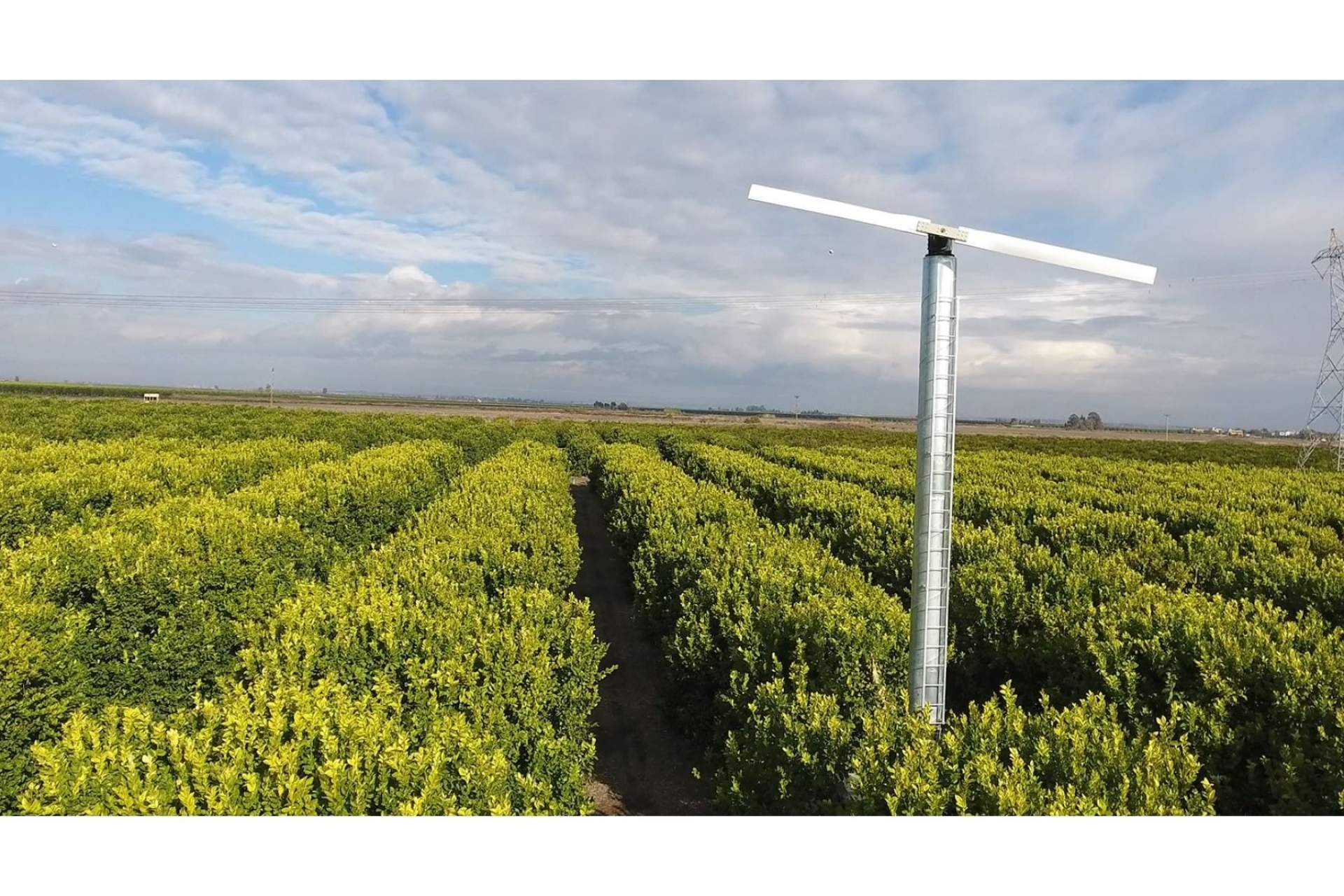 De qué manera funciona una torre antihelada en un campo de cítricos