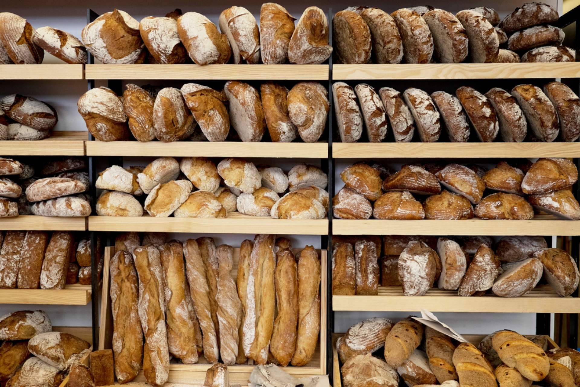 Obtener una licencia de panadería con Projectum.es