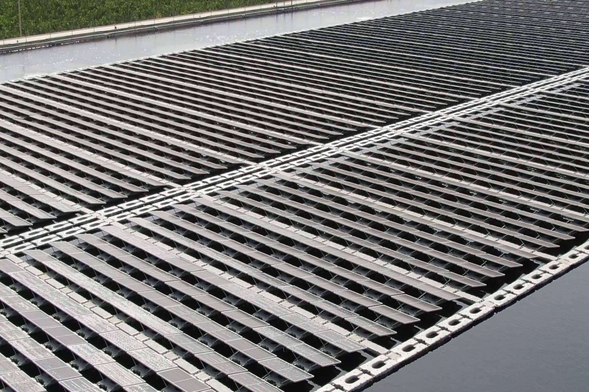 El autoconsumo empresarial, todos los detalles para ahorrar en costes de luz con Nextenergy