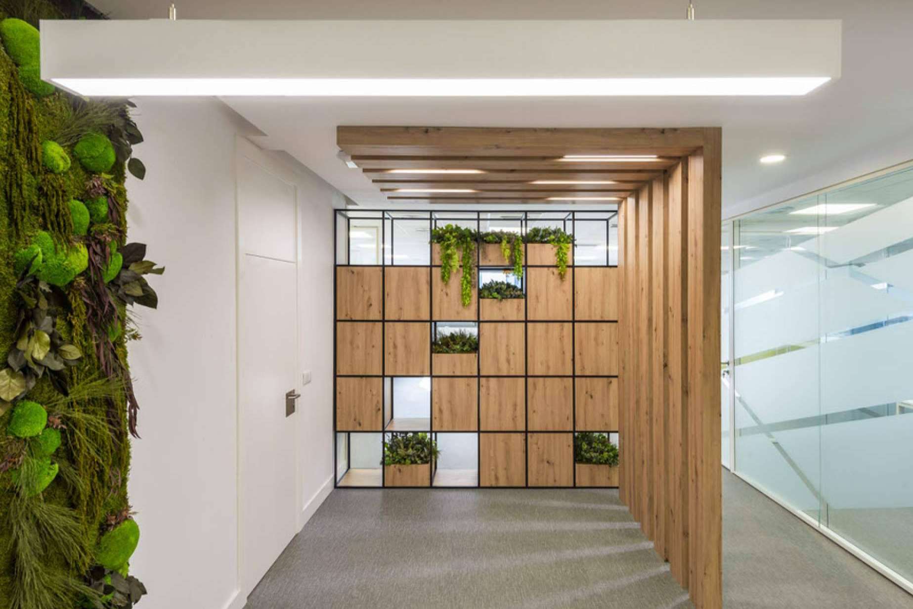 Implementar el diseño biofílico en la construcción y reforma de oficinas, con Chavsa