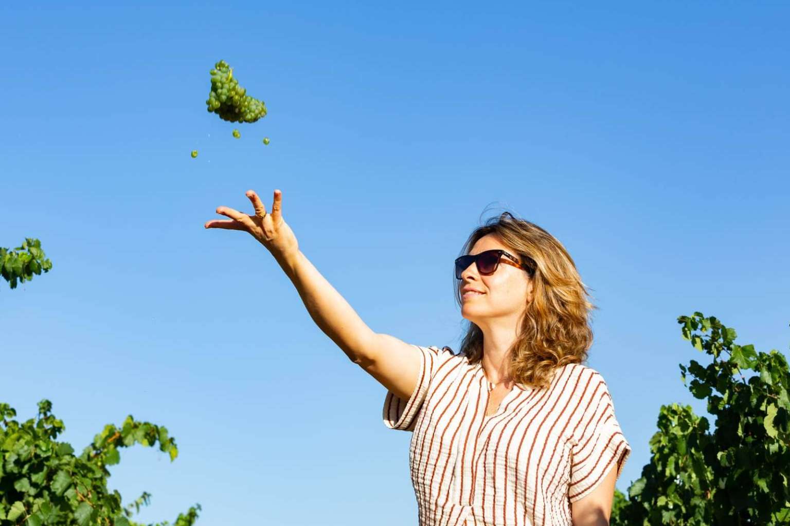 Una bodega familiar de vinos ecológicos, el Lagar de Moha
