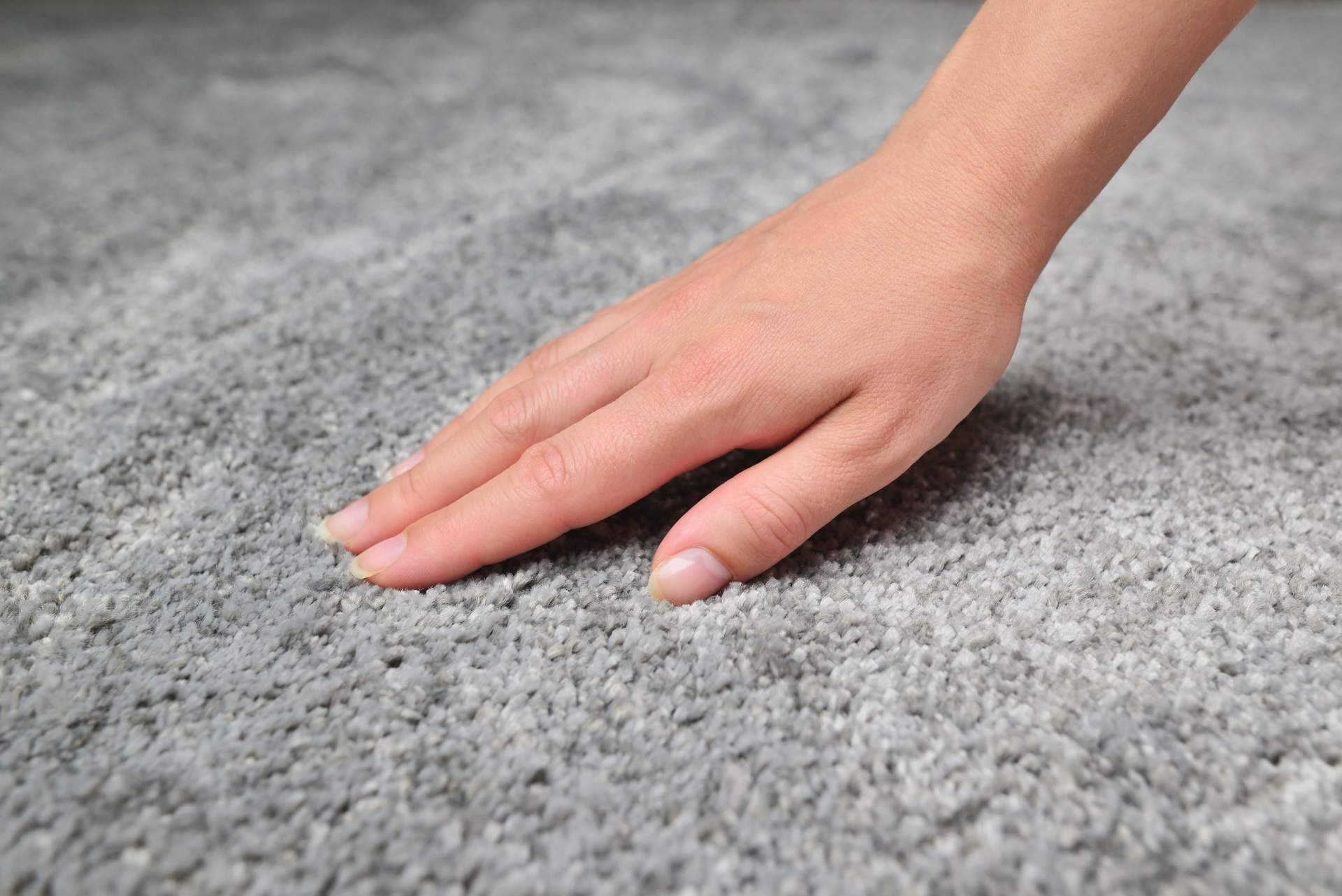 Funciones de las alfombras en cada habitación, por Alfombras y Cortinas