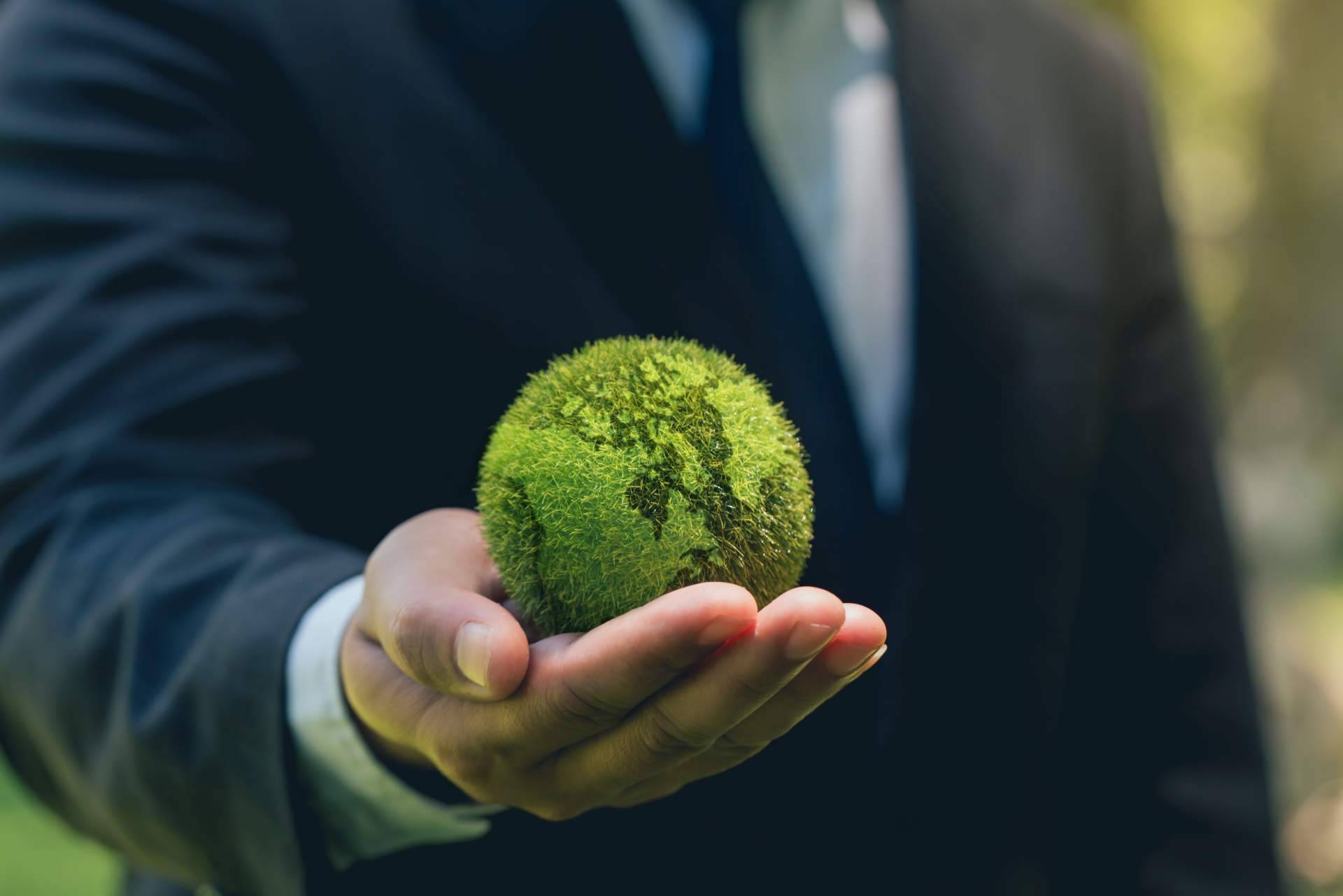 Todo lo que ofrece ClimaTrade a las empresas para que puedan lograr la neutralidad de carbono