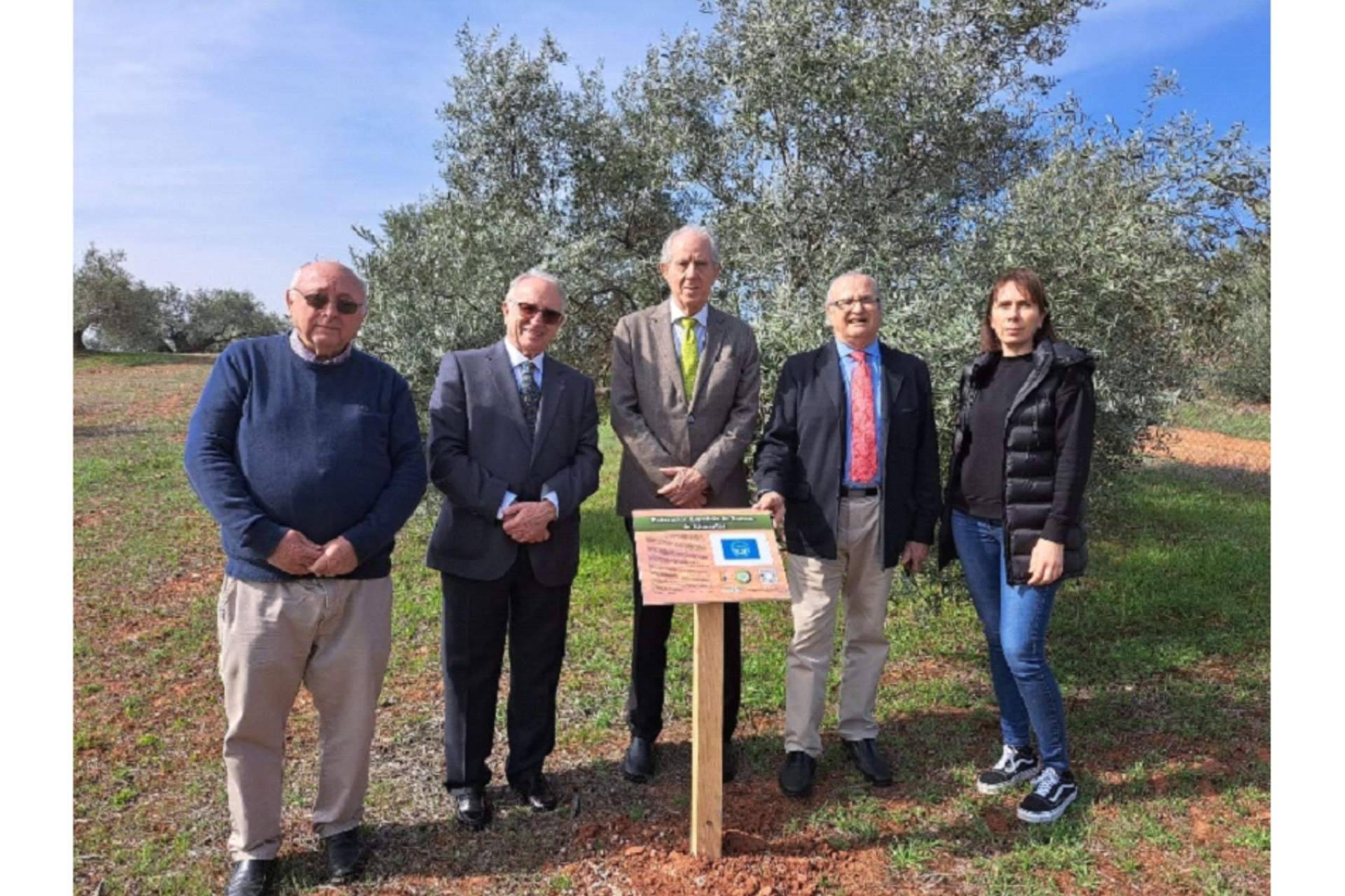 La extraordinaria labor social y solidaria de la Federación Española de Bancos de Alimentos ha sido premiada
