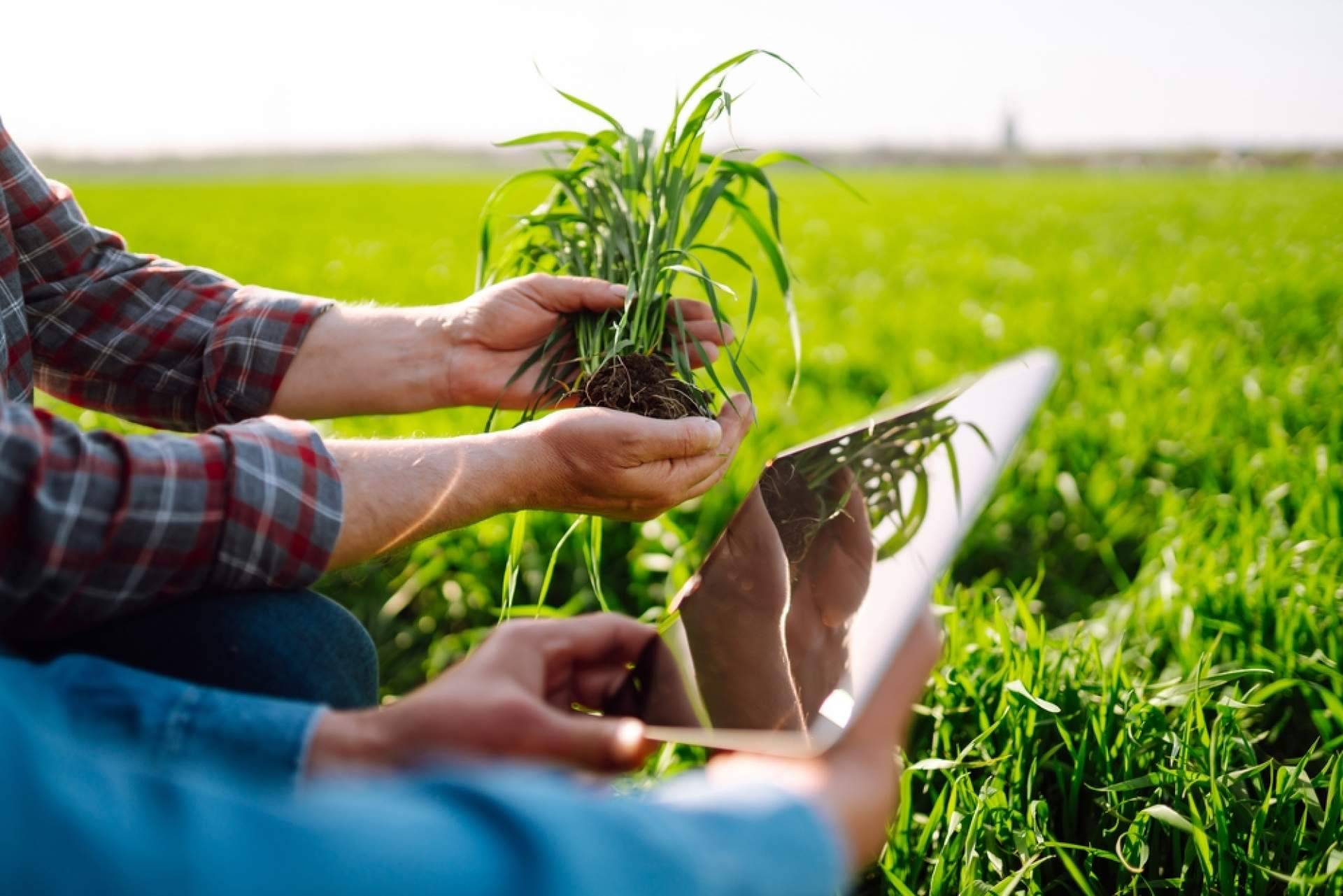 Fitovademécum es una plataforma que permite mantenerse al día con las fichas oficiales del Ministerio de Agricultura