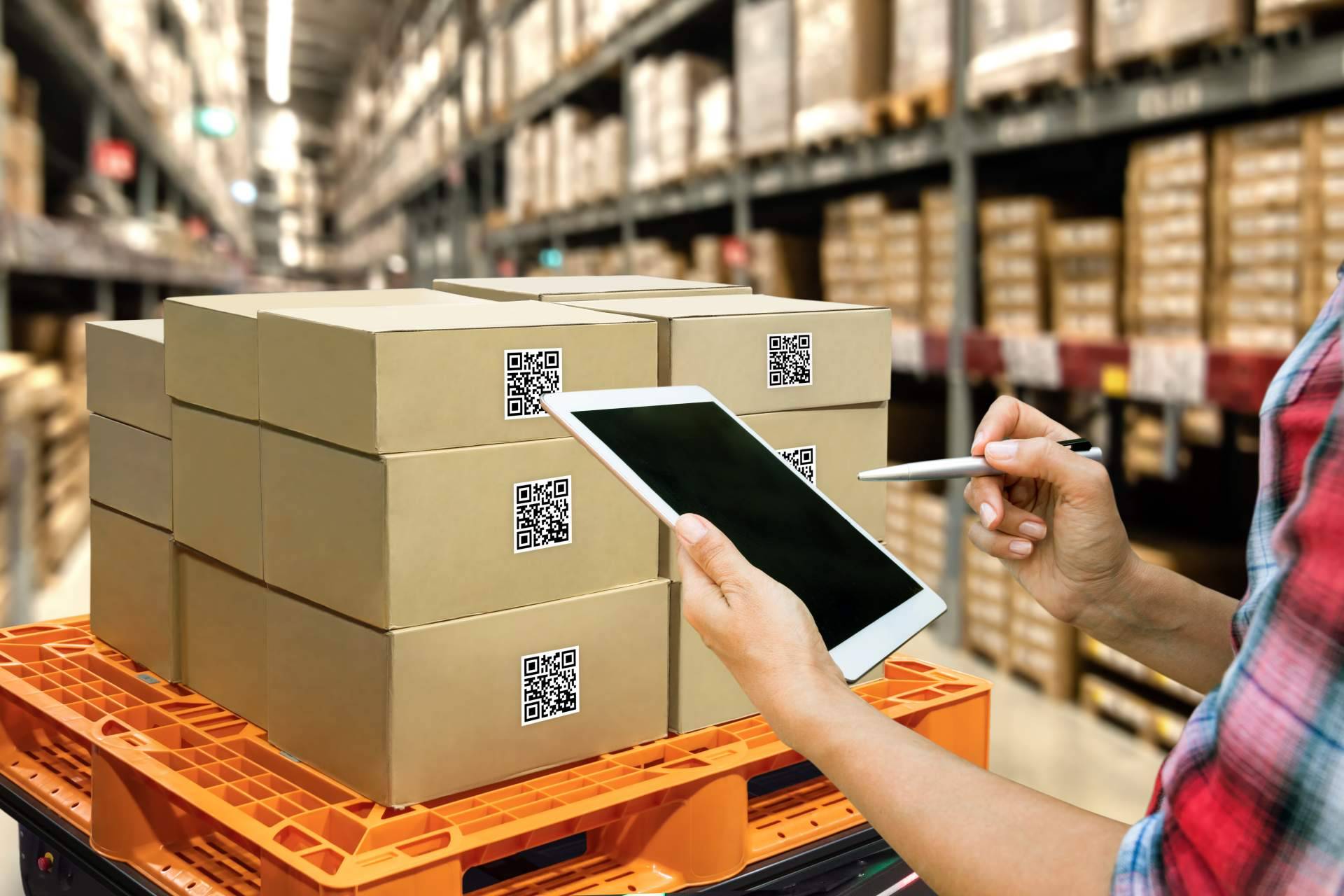 Terra Logistika, especialistas en servicios de picking y packing