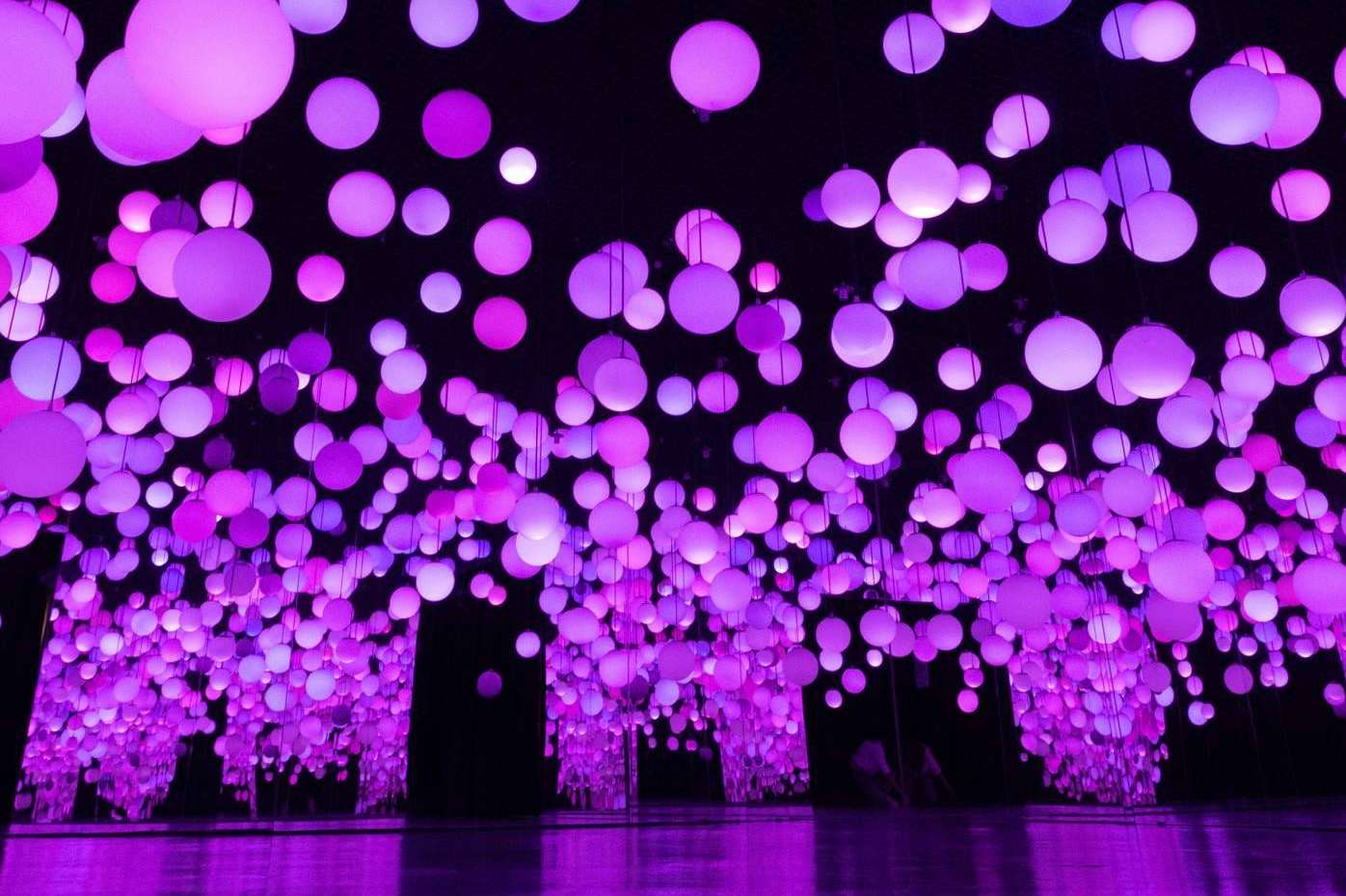 Salas temáticas con exposiciones de diferentes artistas
