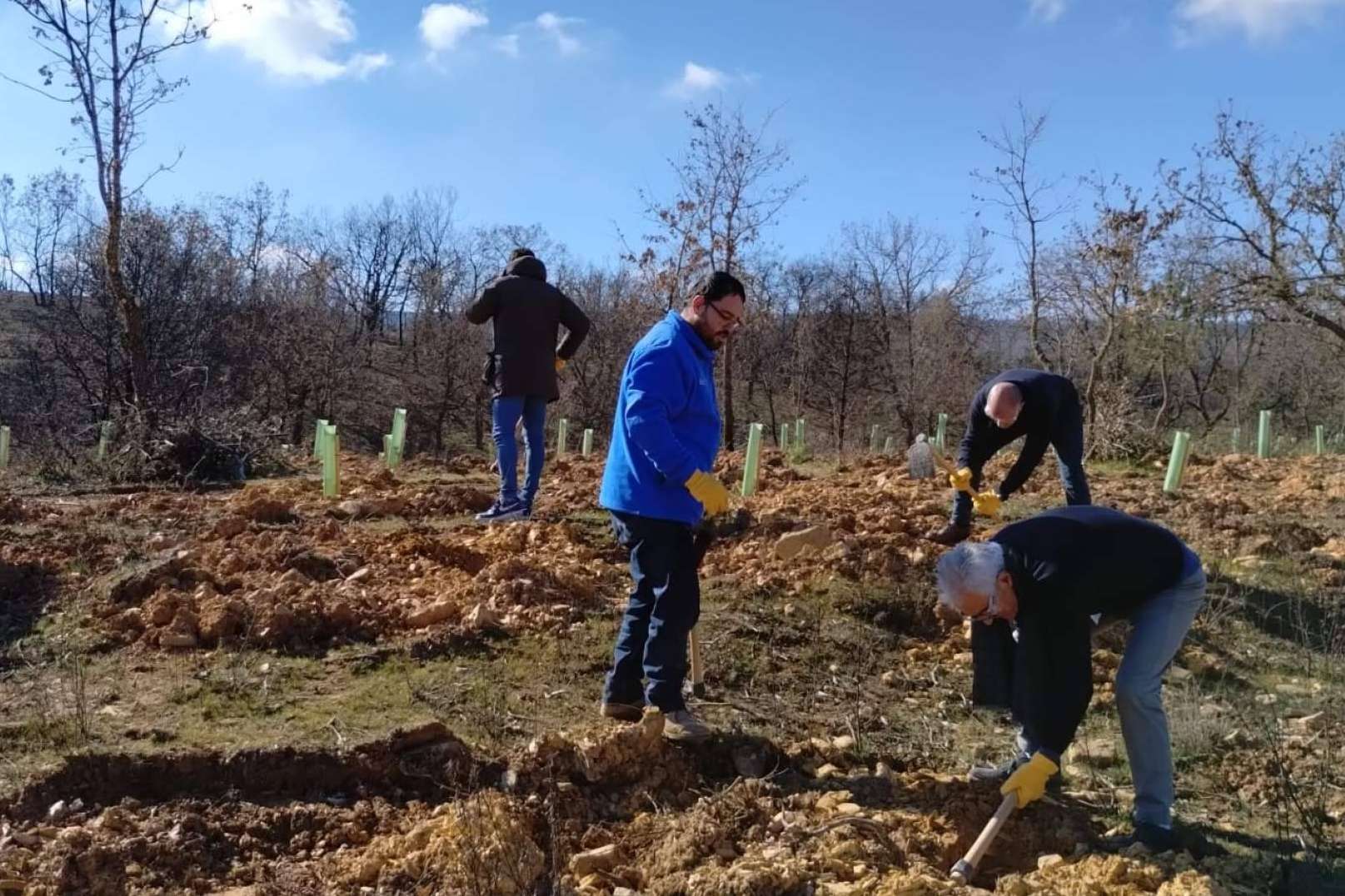 Gracias a FOXY (ICT Ibérica), la Fundación Alcoraz y CO2 GESTIÓN, Zamora recupera sus bosques quemados