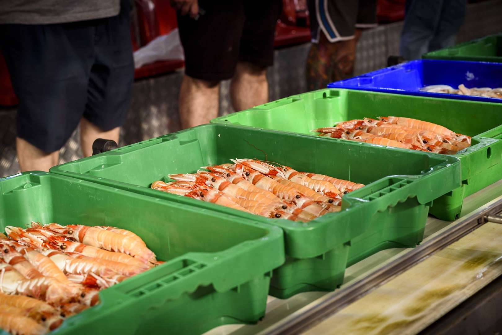 Lonja de Ayamonte se dedica a la venta de pescados y mariscos frescos