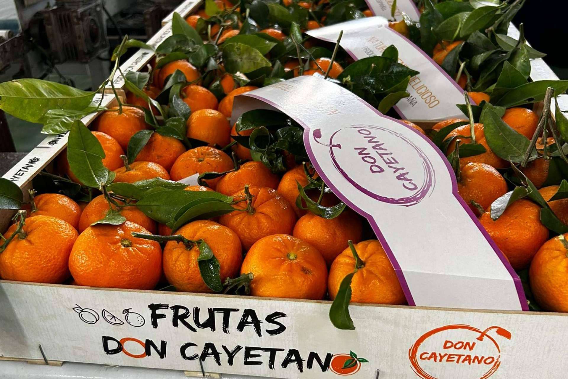 ¿Cuáles son los beneficios de la Mandarina orri, de la mano de Frutas Don Cayetano?