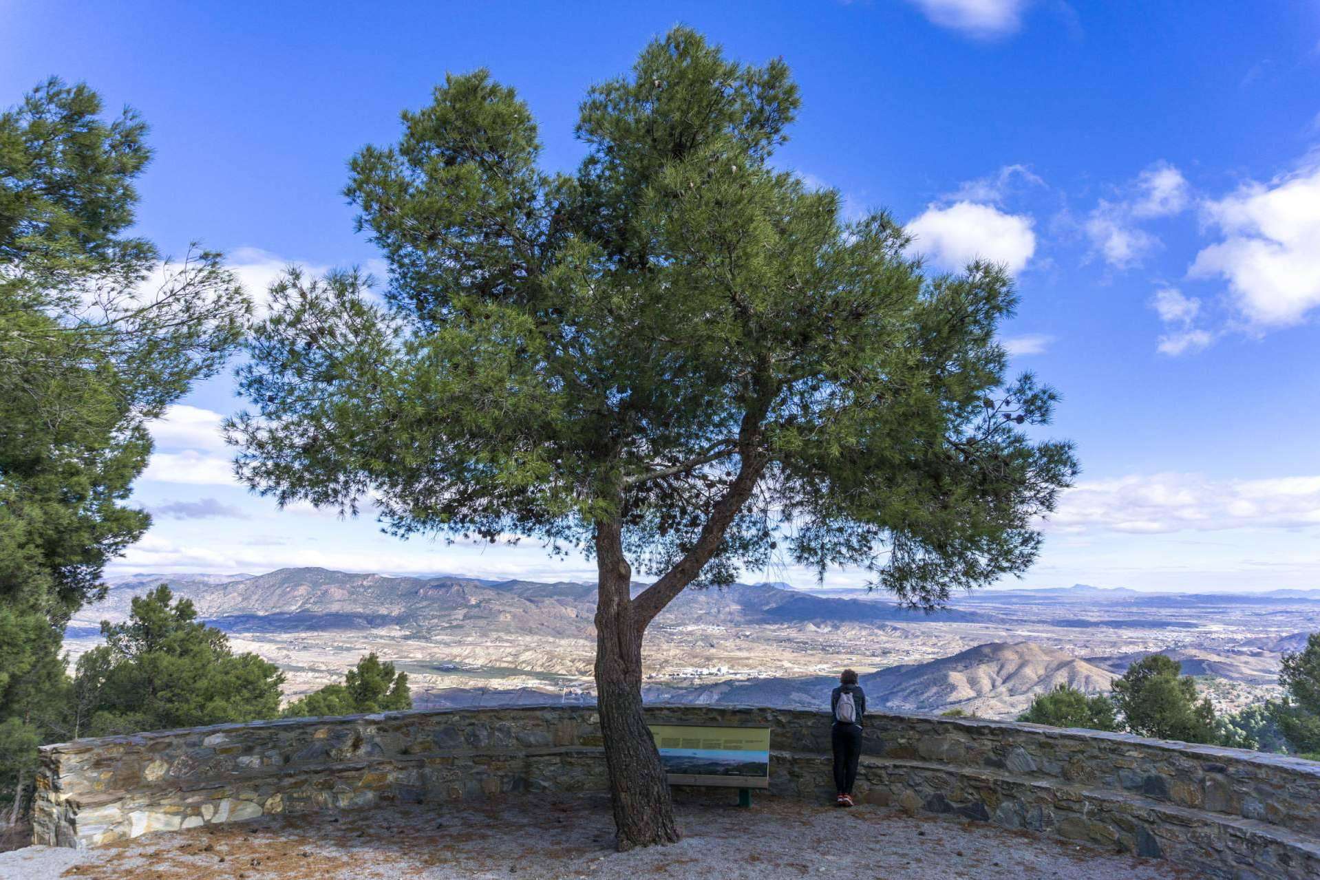 ¿Qué hacer en el interior de Almería? Turismo en Almería con Turismo Almanzora