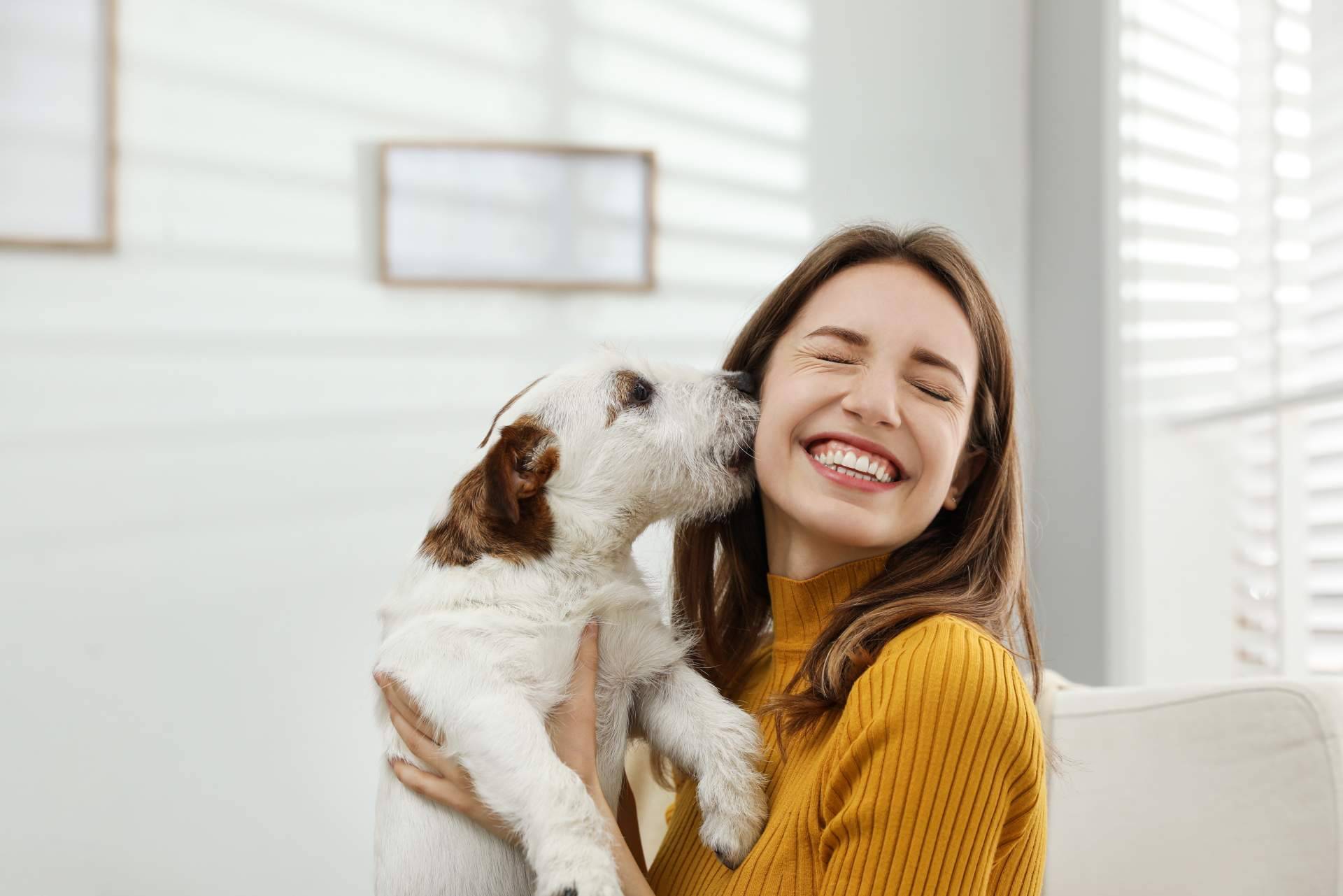Todo lo que se debe saber de la nueva Ley de Bienestar Animal si se tiene una mascota