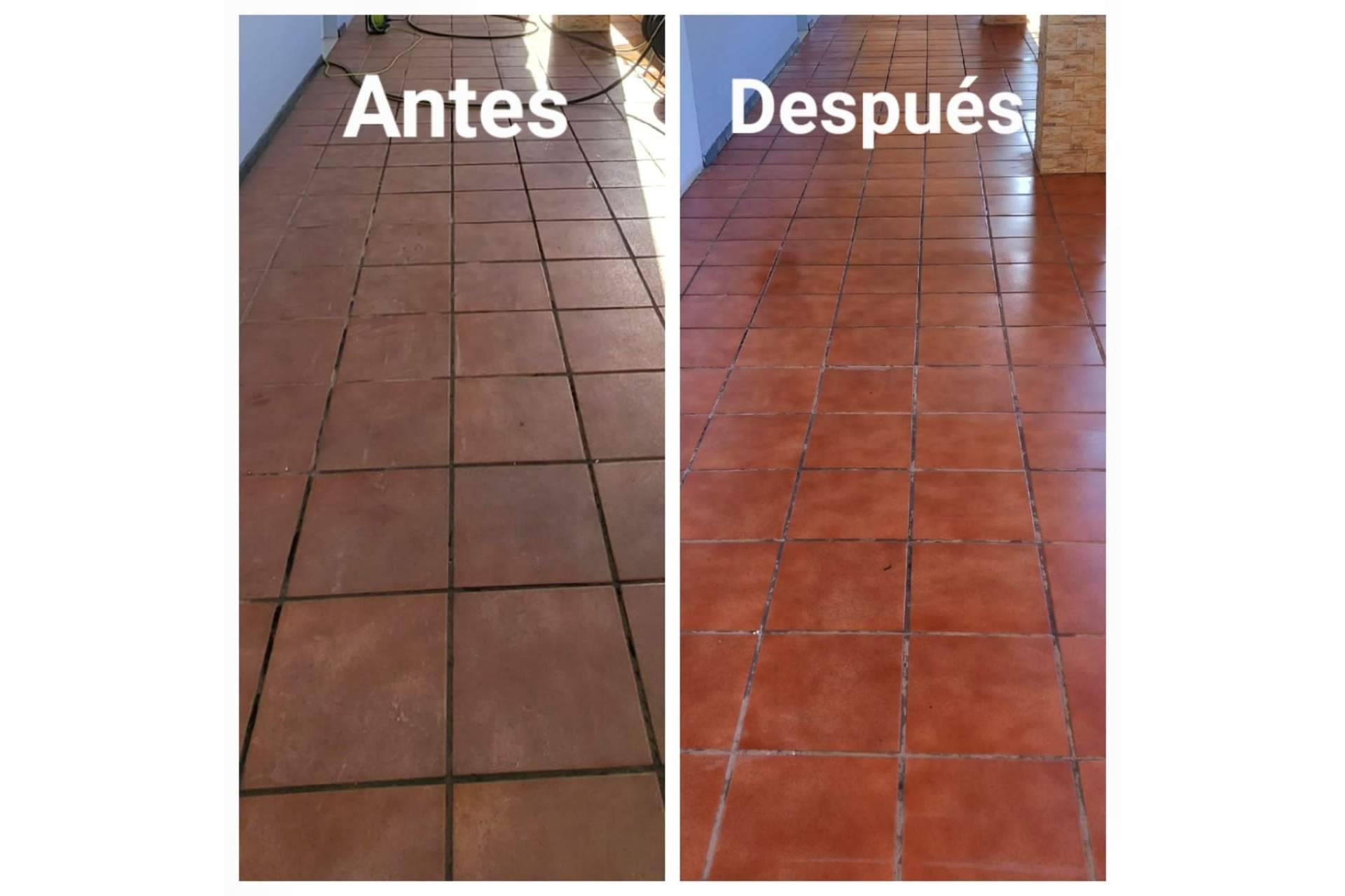 Edificios limpios y la relevancia de los servicios de limpieza exterior en un negocio