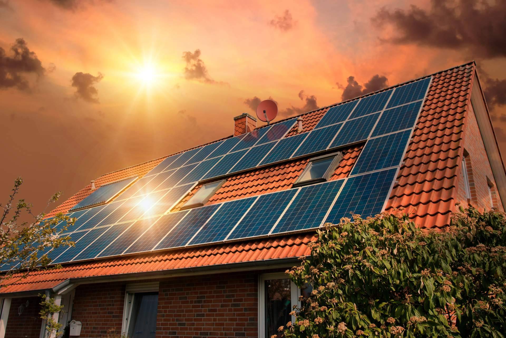 ¿Qué factores están provocando el auge de las energías renovables en todo el mundo?
