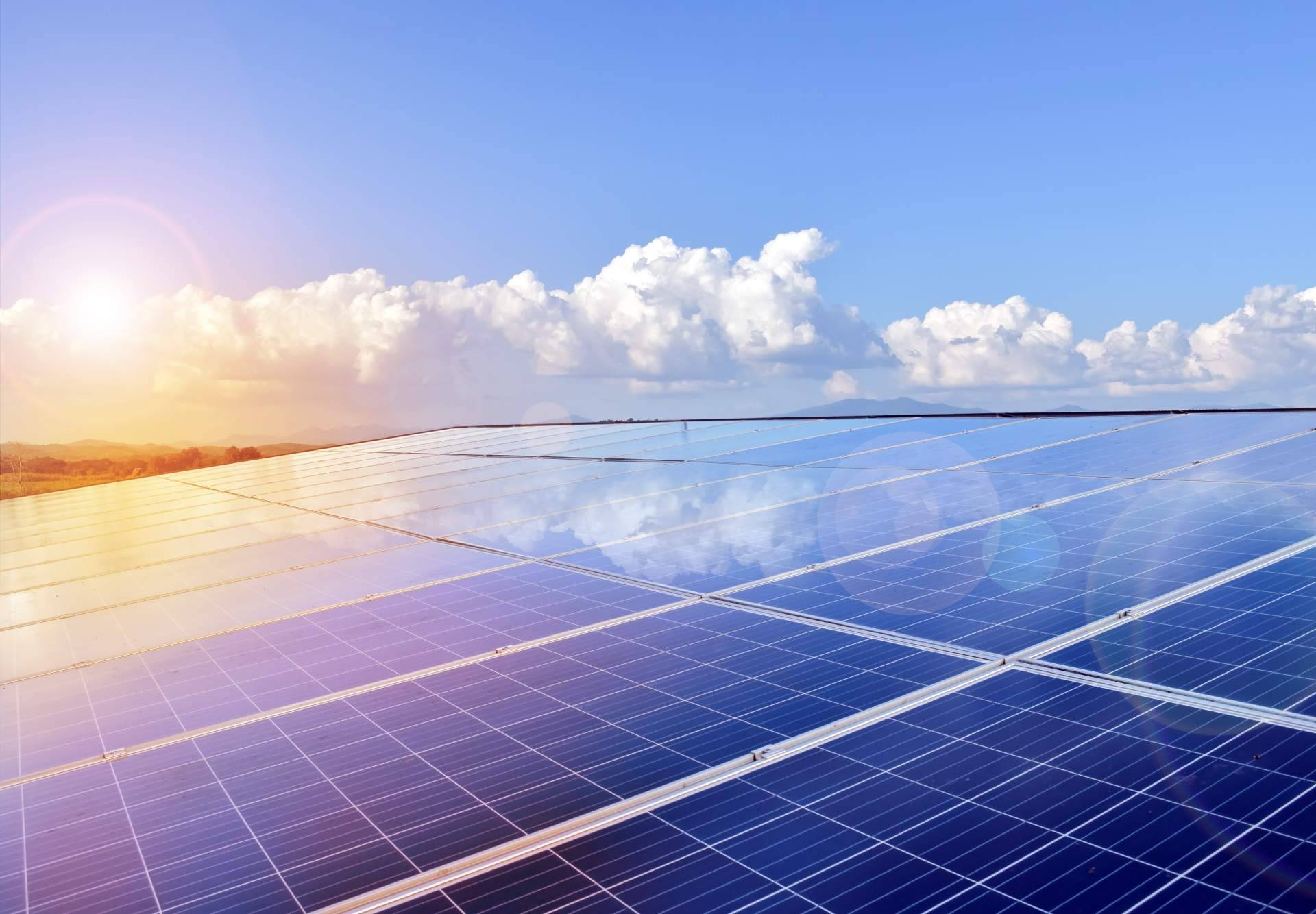 Las ventajas de la instalación de paneles fotovoltaicos en industrias agroalimentarias, de la mano de Zerinthia Battery