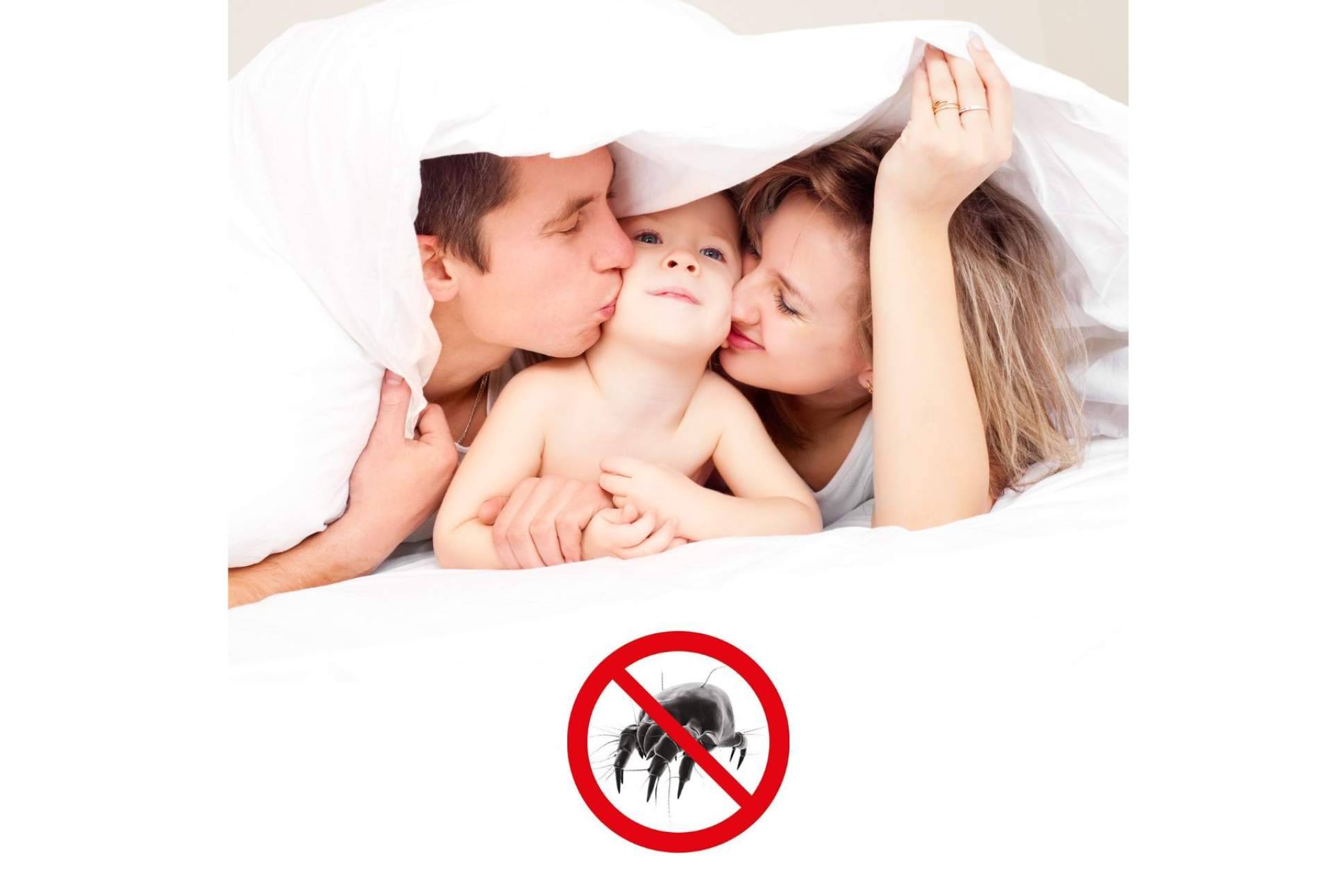 ¿De qué manera eliminar los ácaros de la mano de Euroallergy.com?
