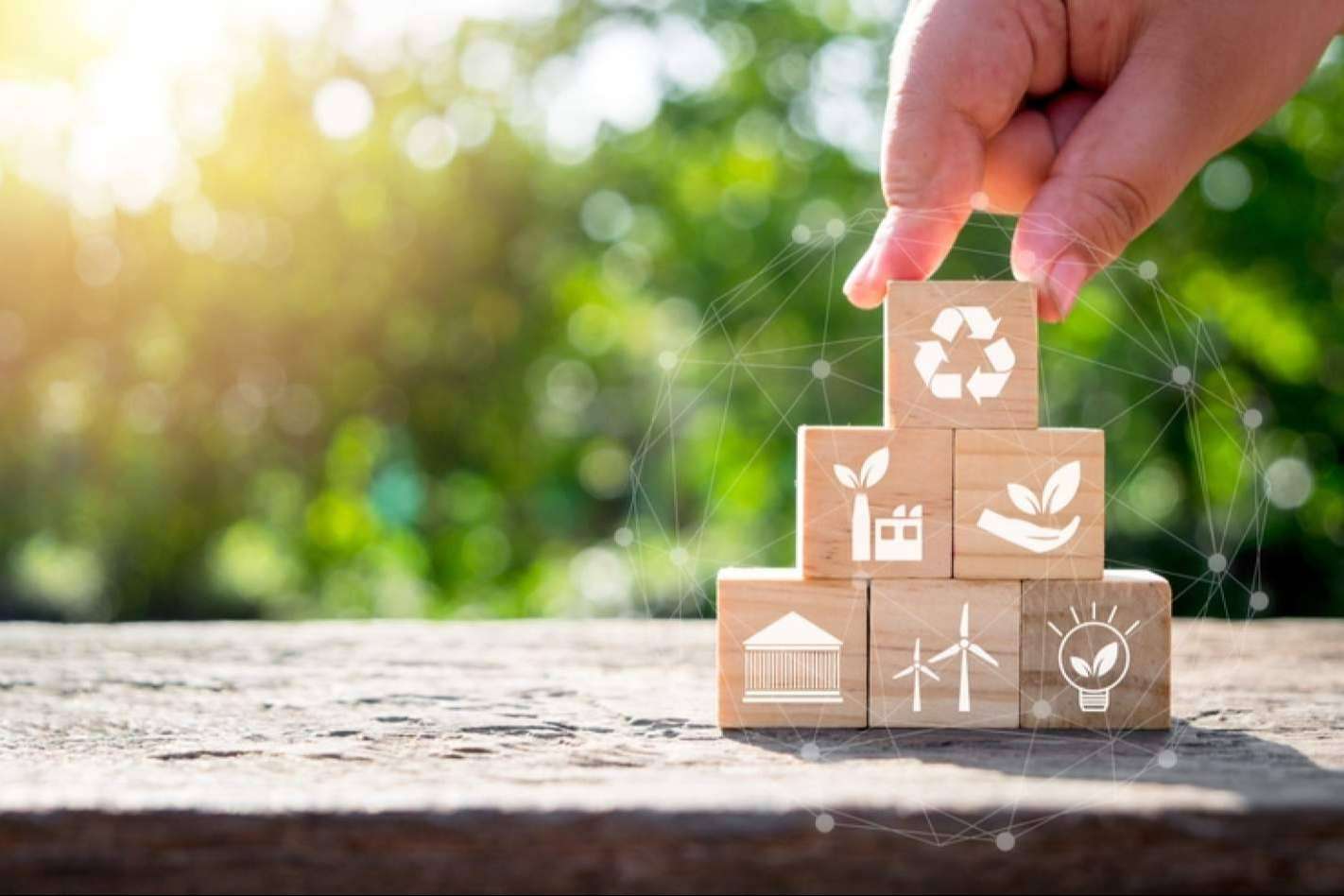 ¿Por qué es importante la eficiencia energética en la lucha contra el cambio climático?. ¿Cómo una asesoría energética puede ayudar?