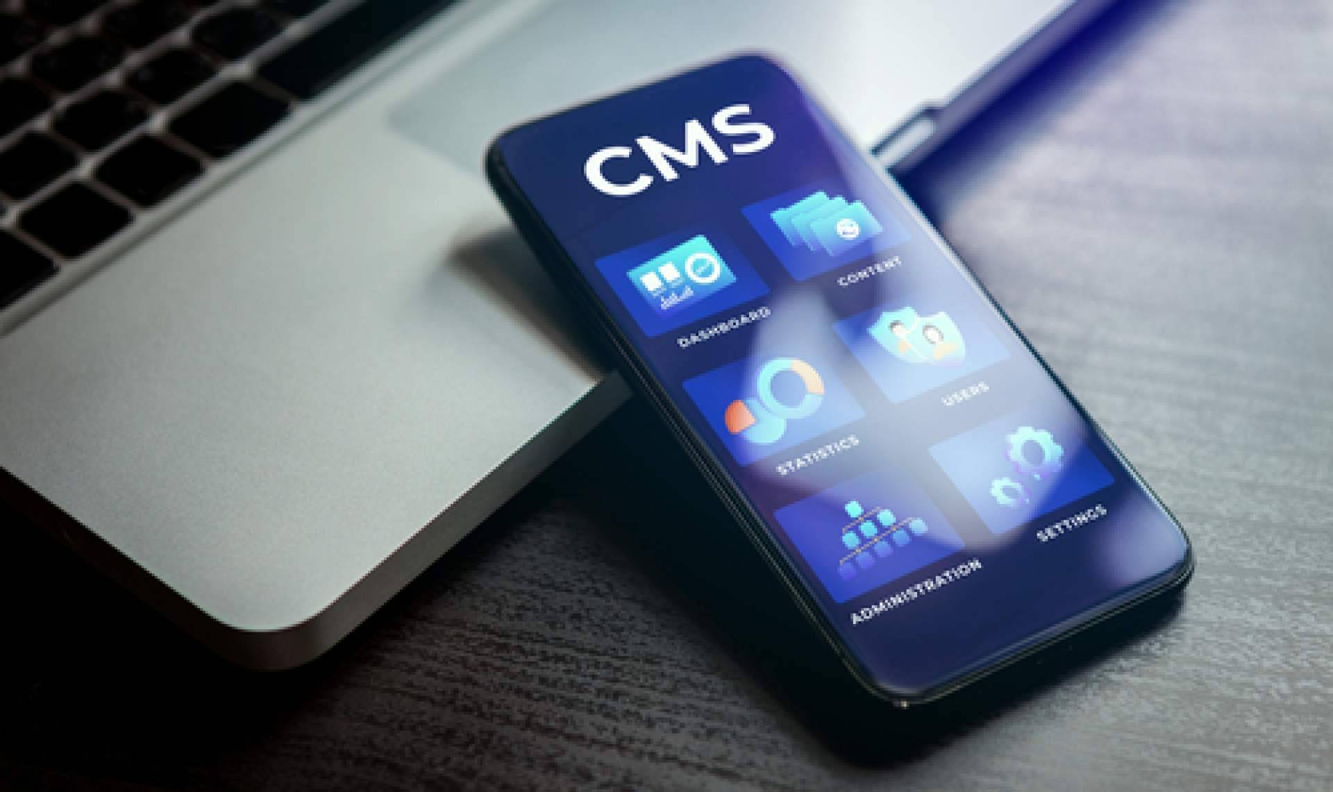 Seguridad en los CMS, prevención de vulnerabilidades