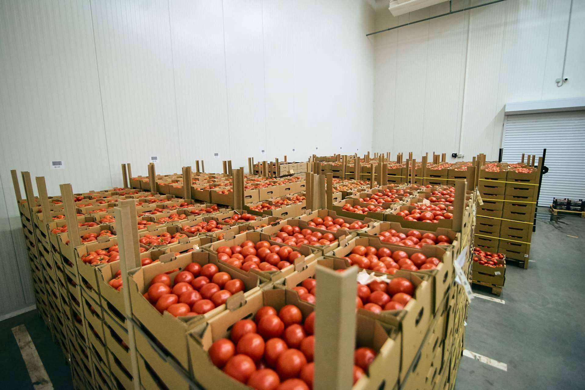 El software ERP para mayoristas de frutas y hortalizas