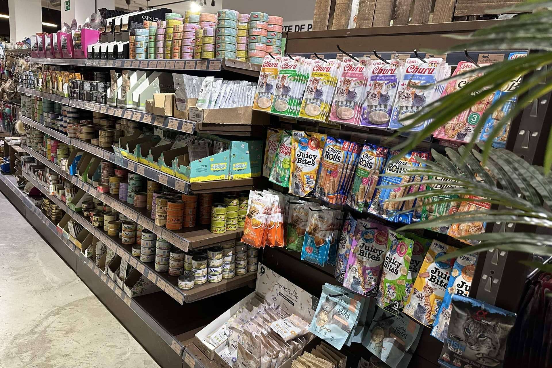 Suplementos naturales para gatos en Lobitos & Co