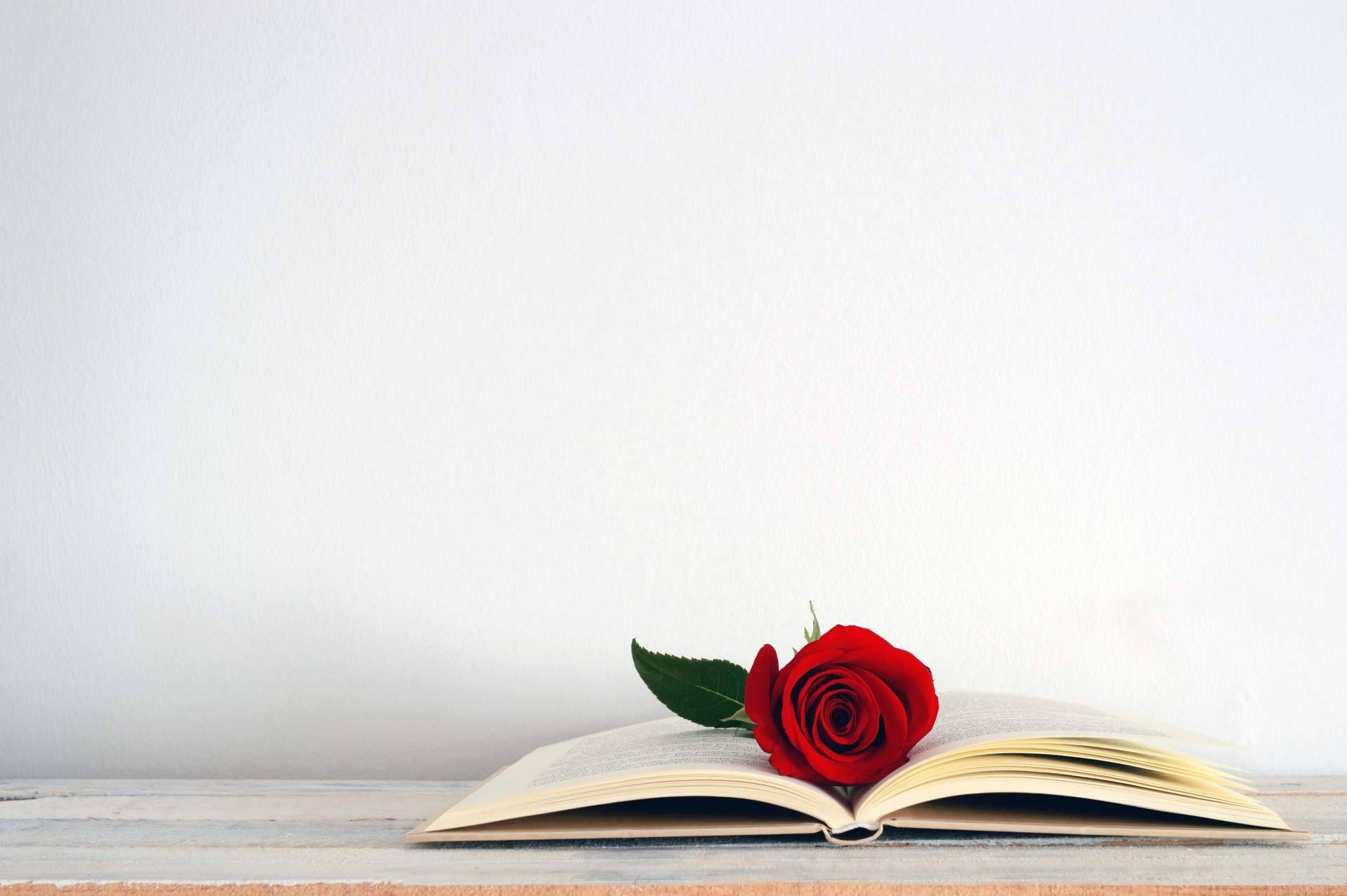 La tradición catalana de las rosas y los libros en Sant Jordi