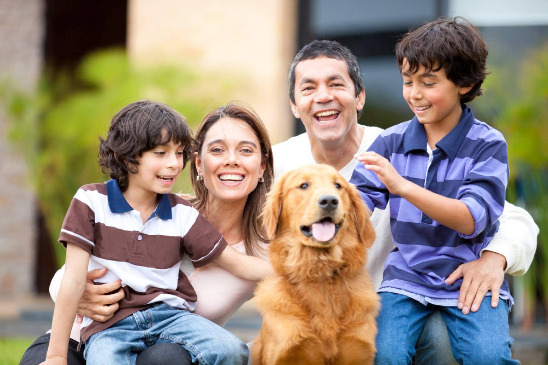 La vida de los animales de refugio está siendo transformada gracias al buscador de adopciones ADOPTA