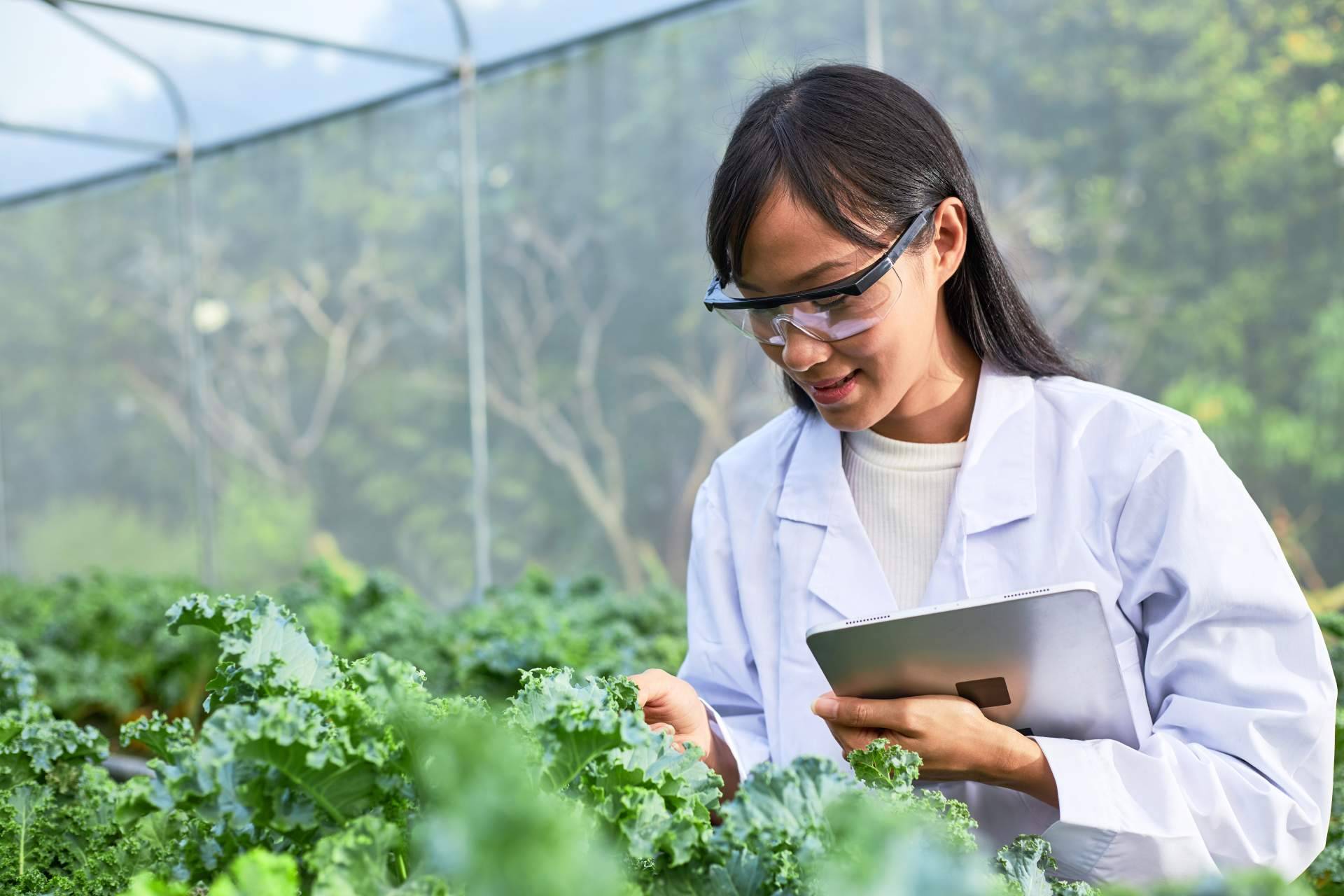 Fitovademécum, una plataforma de interés para el sector agrícola de la consultora de inteligencia competitiva Imeanticipa
