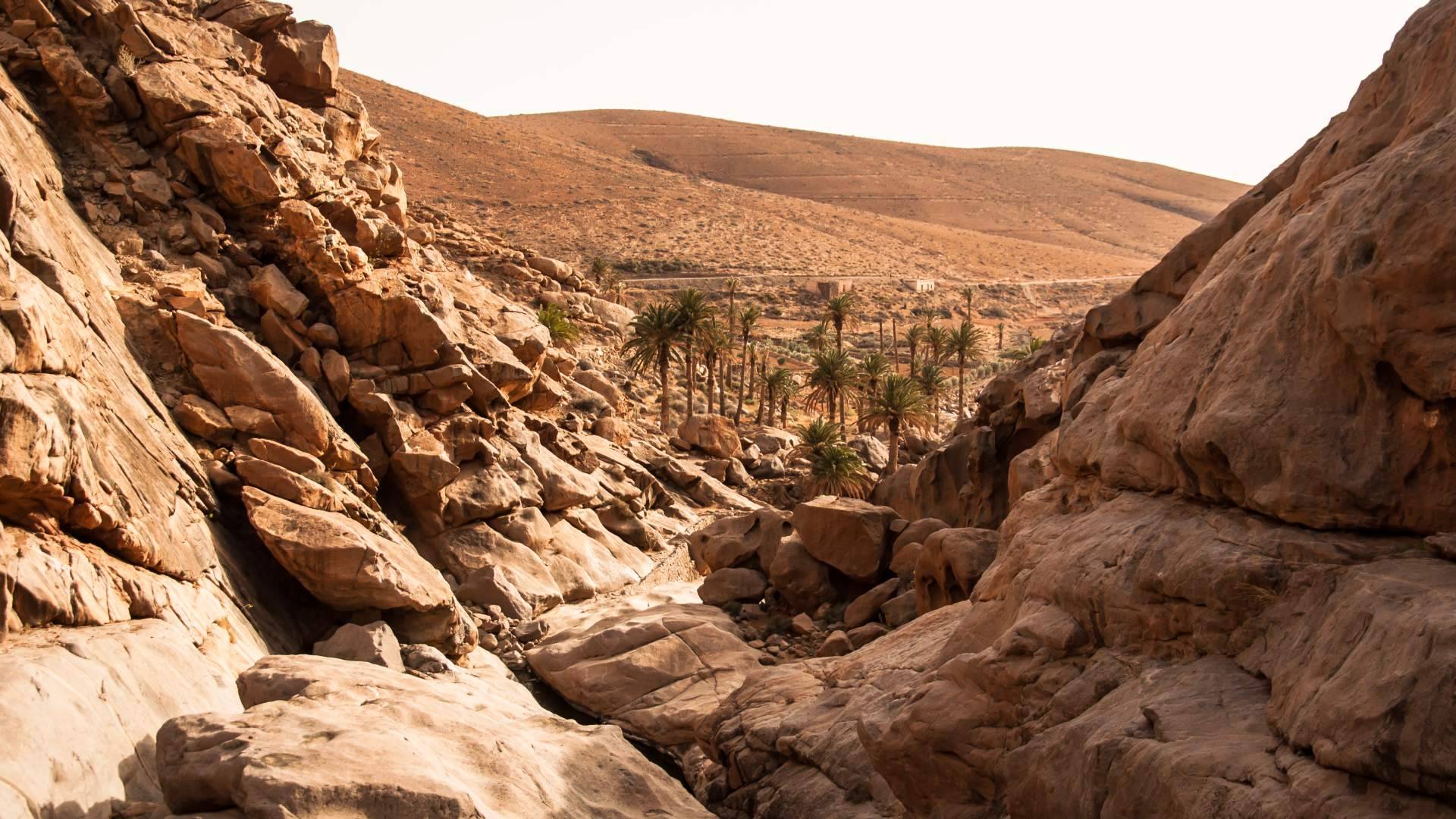 Actividades en Fuerteventura con Excursión Center Balcón Canario