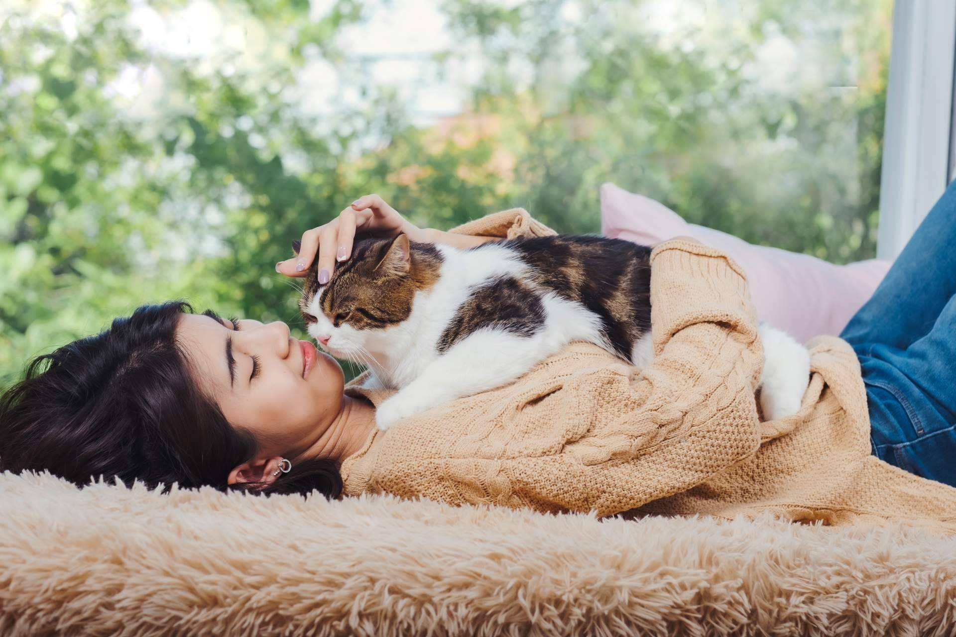 Curso de primeros auxilios para animales de compañía