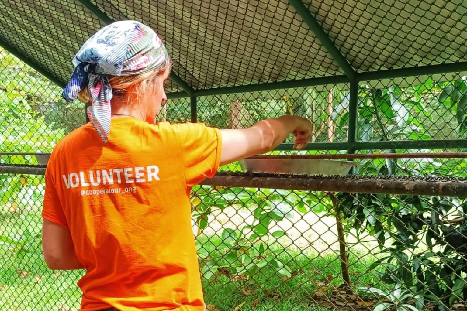 Viajar al extranjero para hacer un voluntariado con animales, de la mano de Cooperatour