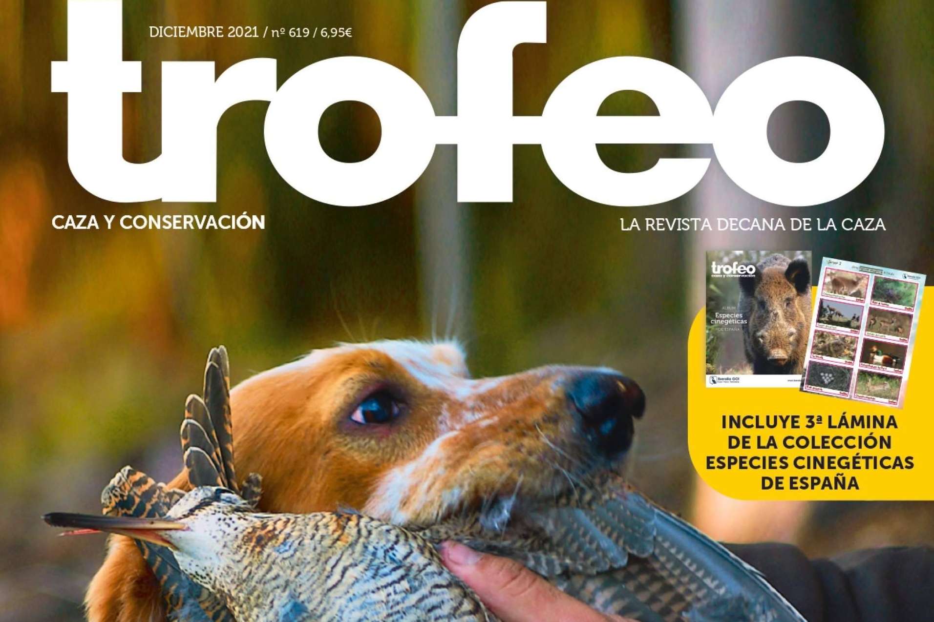 Perros de caza, con Trofeo Caza