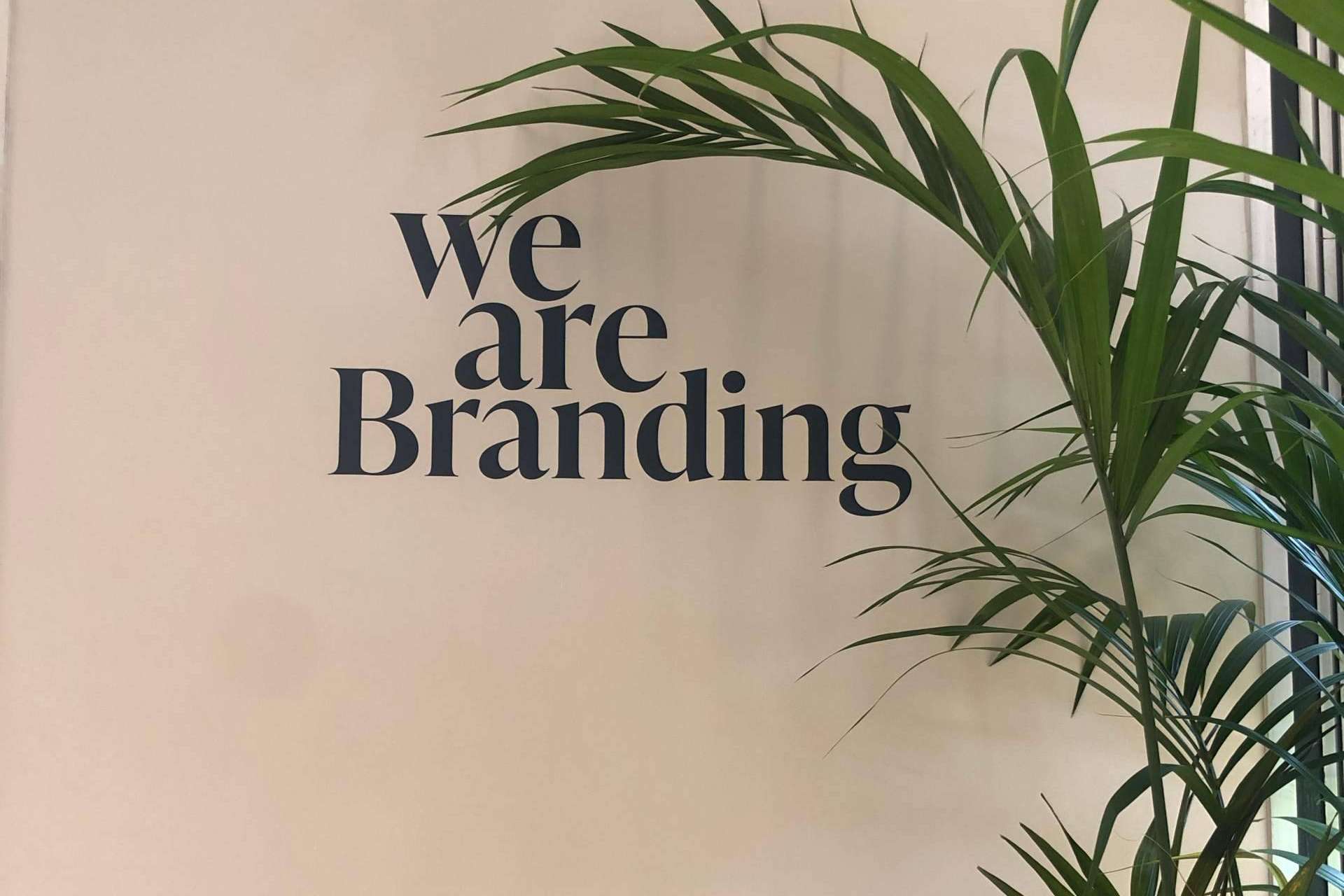 ¿Por qué contar con una agencia de diseño gráfico para el desarrollo de una marca?