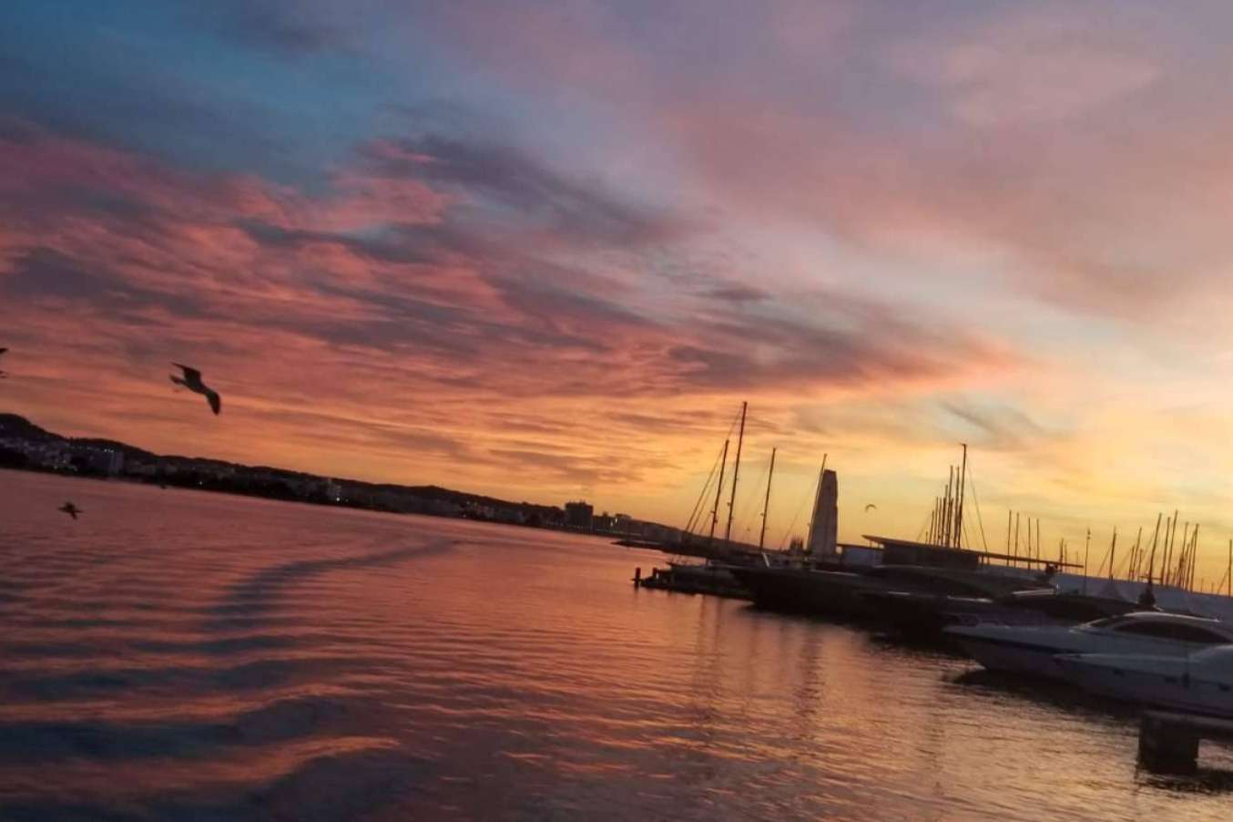 Float Your Boat recomienda actividades con las que disfrutar de Ibiza durante el verano