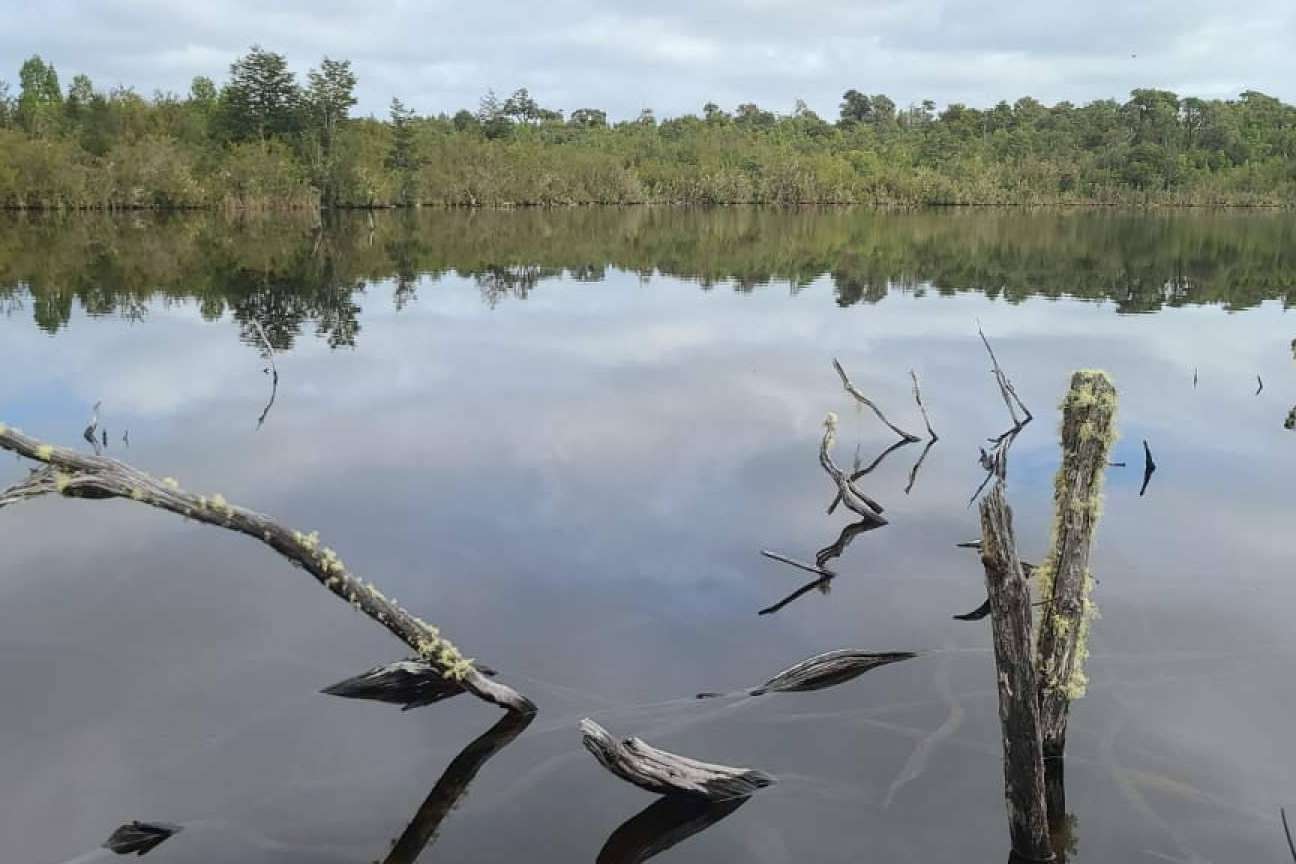 Laguna Quemchi, una compañía enfocada en la comercialización de terrenos en el sur de Chile