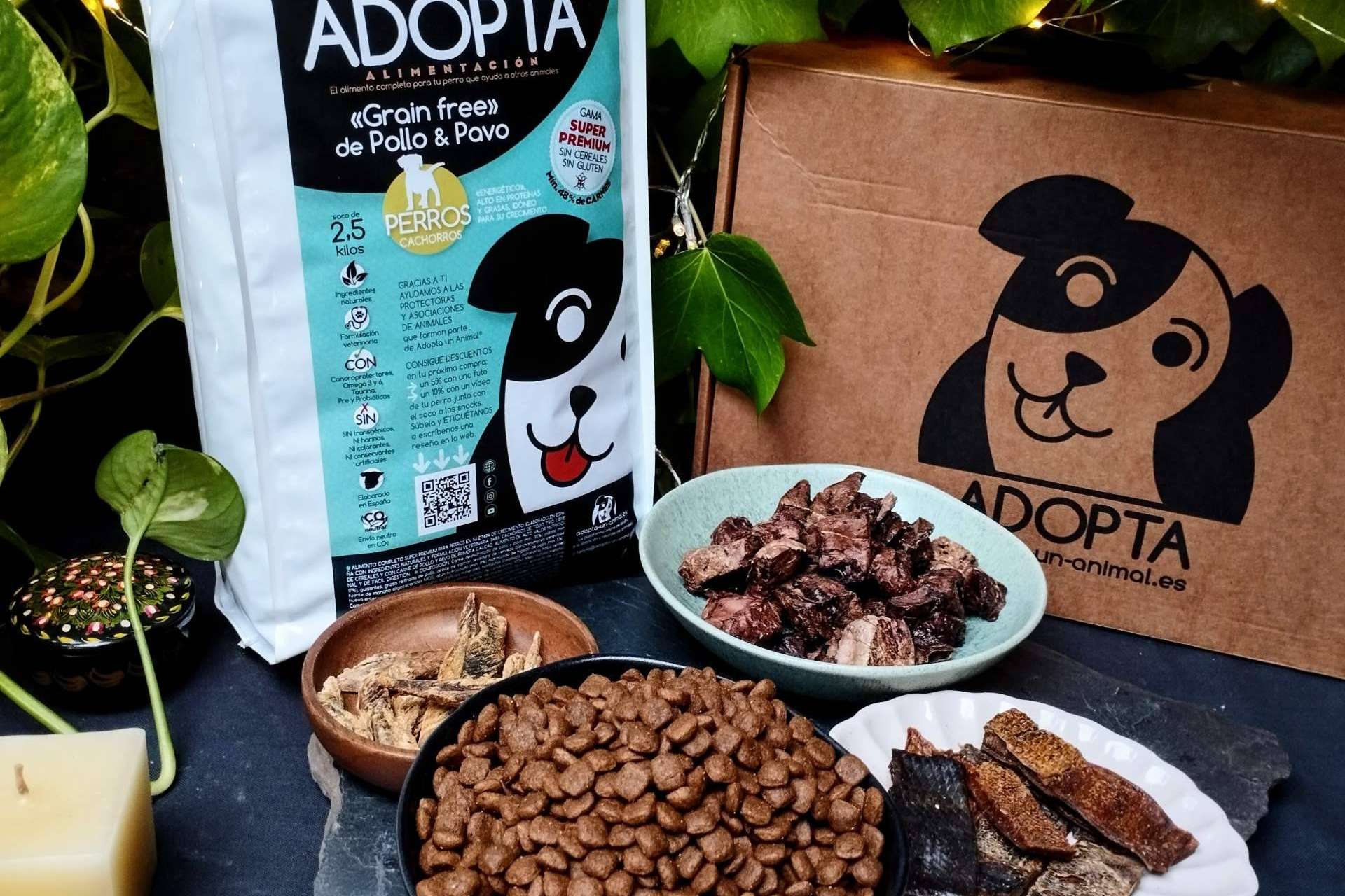¿Cuáles son las ventajas del pienso sin cereales?, con Adopta un Animal