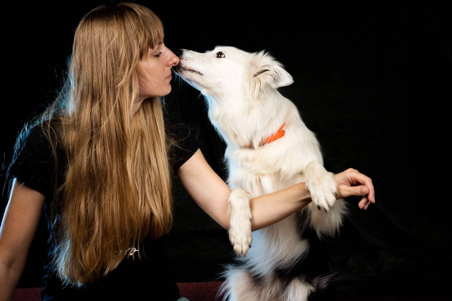 Cómo las habilidades caninas pueden fortalecer el vínculo entre perros y dueños