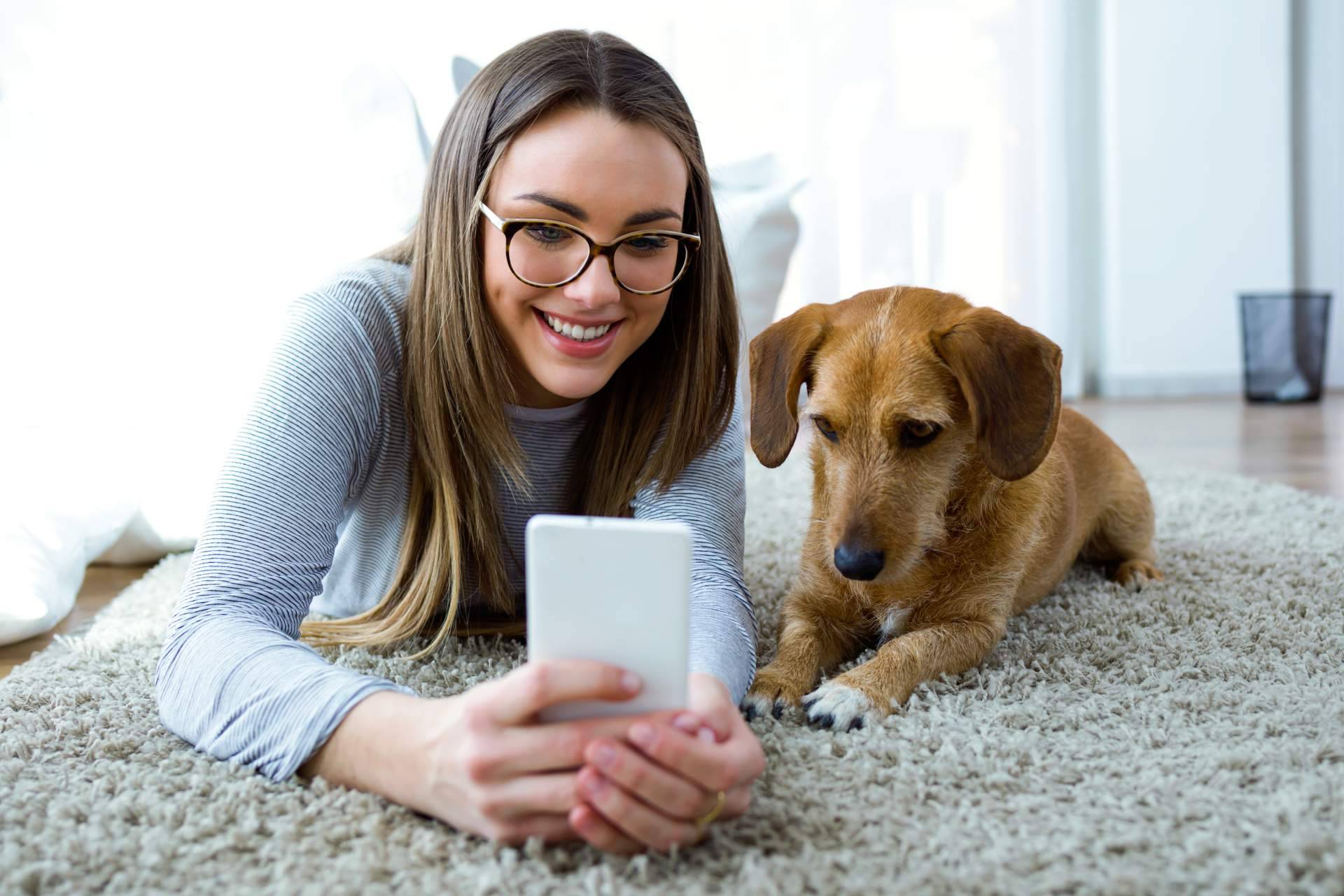 ClickGuau, el TikTok para mascotas que incluye centenares de vídeos graciosos de animales