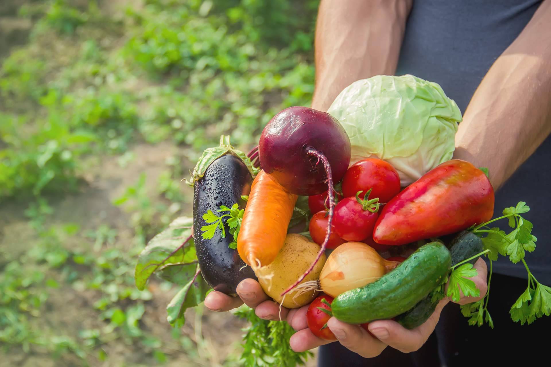 Serunion y las prácticas que lleva a cabo para fomentar la alimentación sostenible