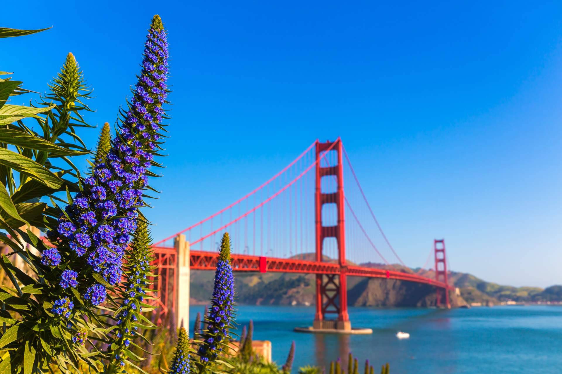Visitar los Parques Nacionales del Oeste de Estados Unidos y descubrir su majestuosidad, de la mano de City Tours USA