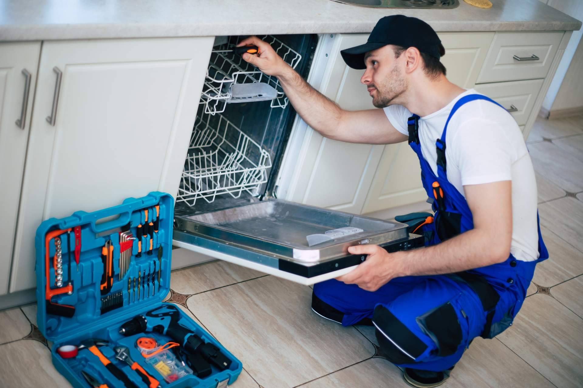 Reparar en Cádiz un lavavajillas AEG con averías, ¿dónde hacerlo?