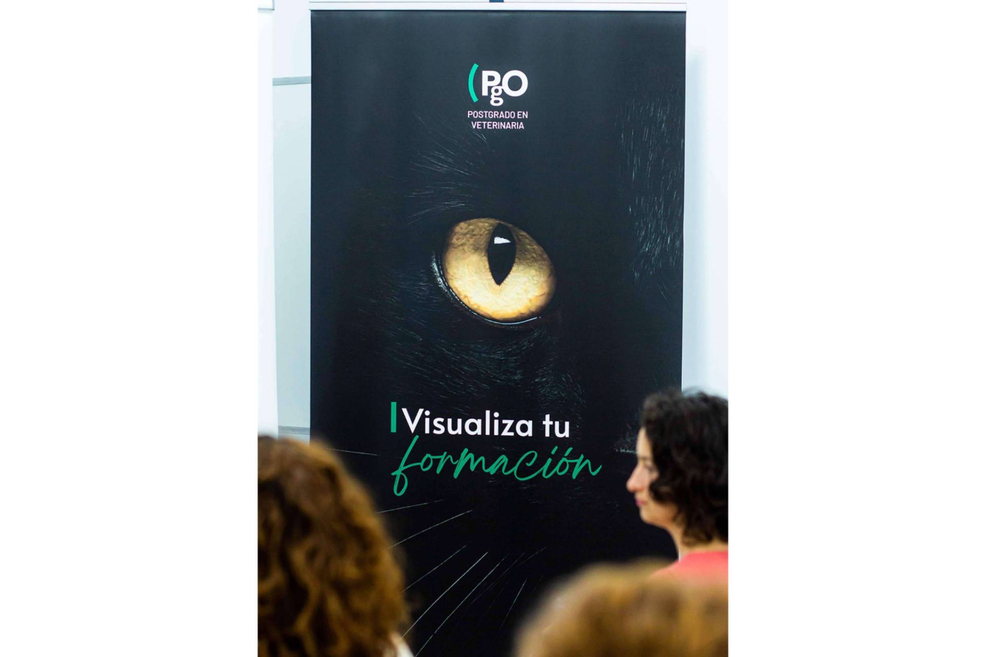 PgO Veterinaria ofrece postgrados caracterizados por la calidad y vanguardia
