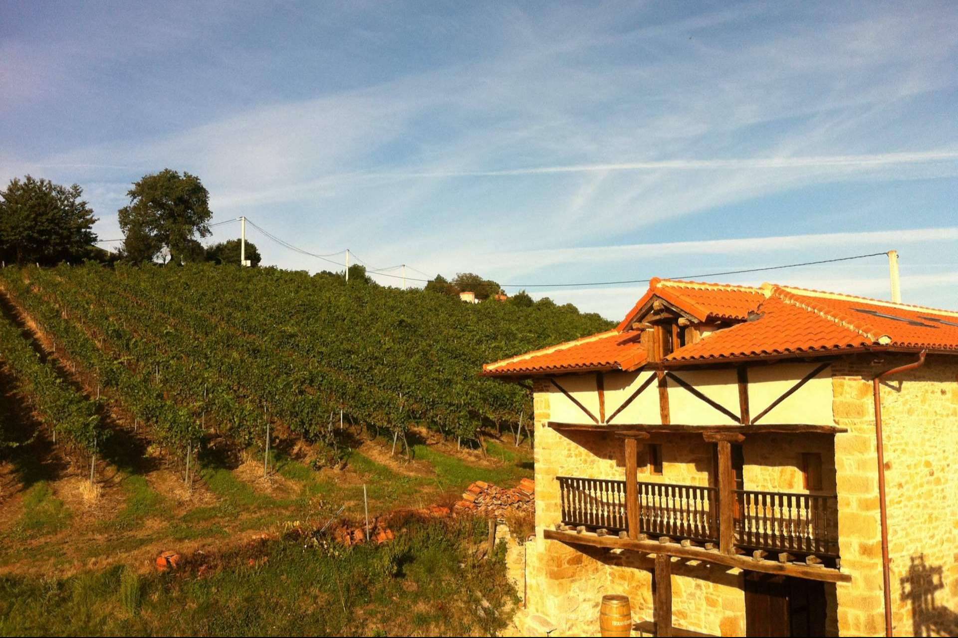 La historia de amor y respeto por el vino y la 'tierruca' que se esconde detrás de Bodegas Vidular