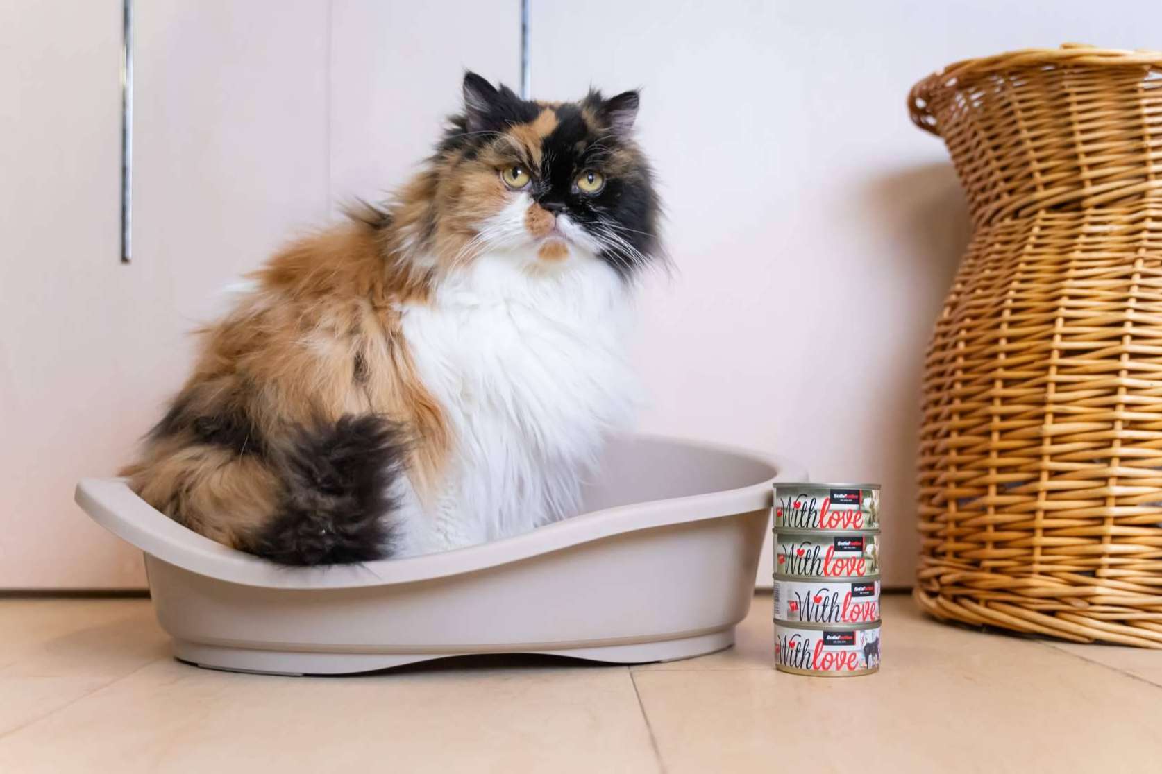 With Love, la nueva gama de comida húmeda para perros y gatos de Satisfaction