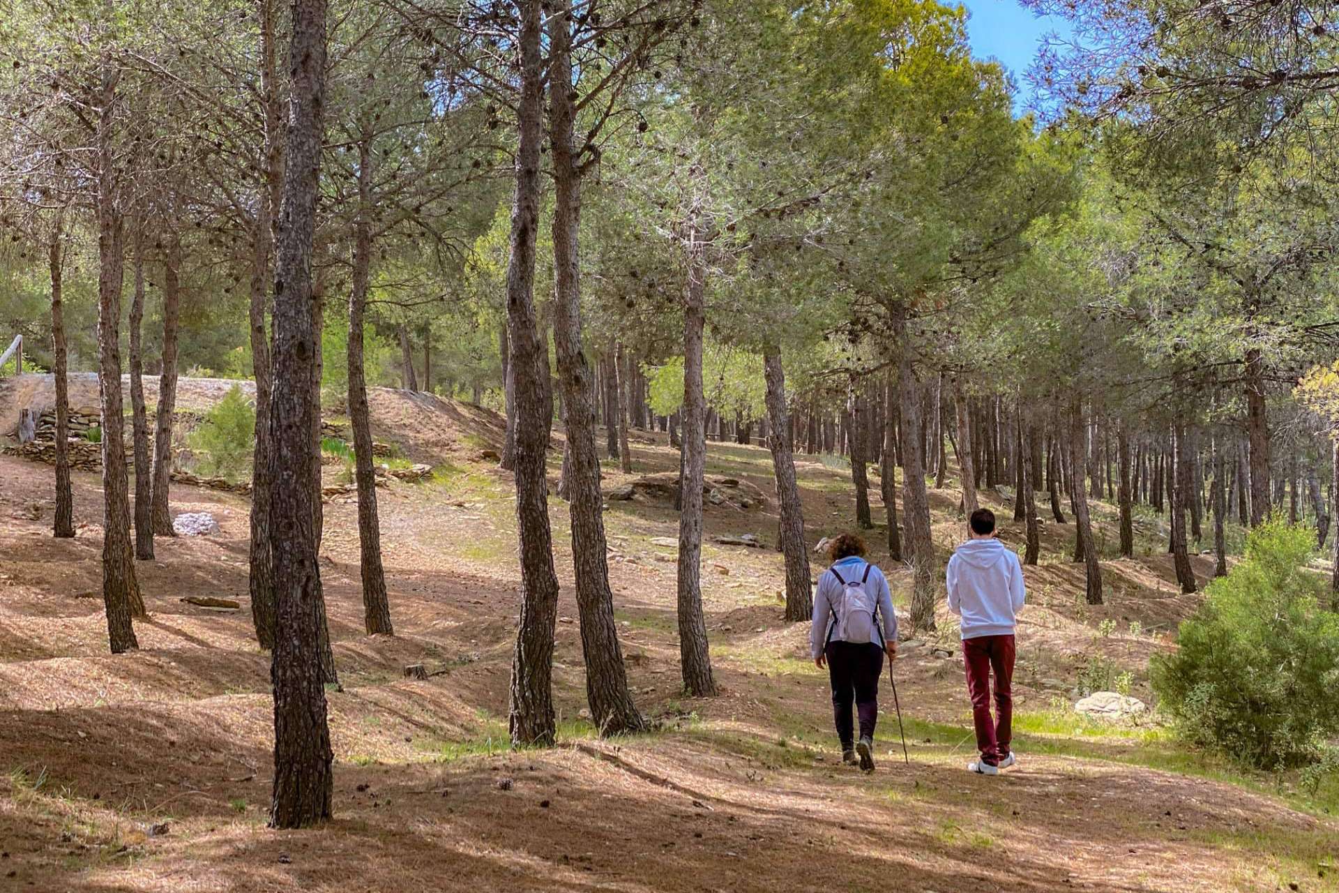 Qué hacer en un viaje de turismo rural al interior de Almería